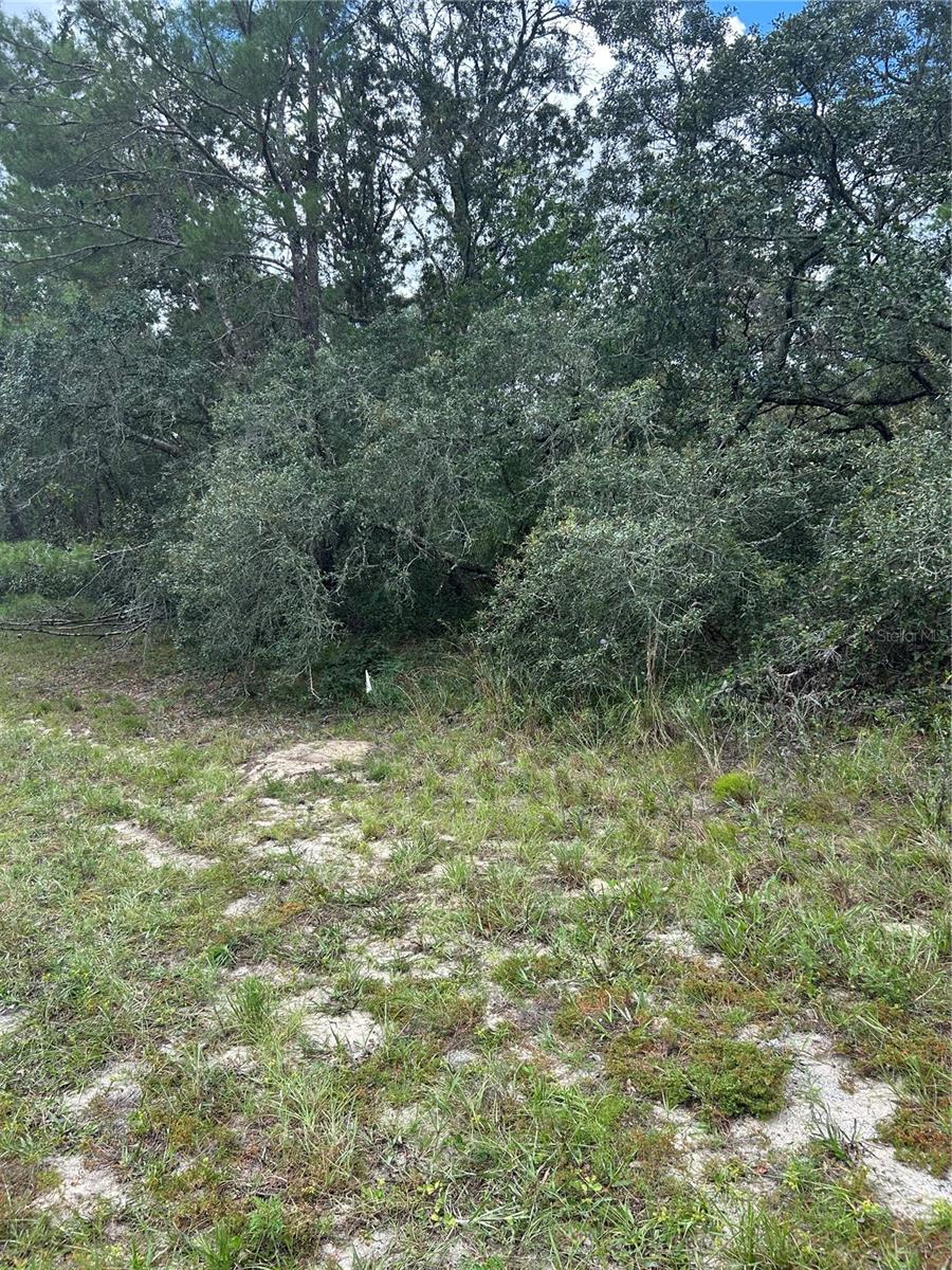 00 SW 27TH CIR, OCALA, FL — photo 3
