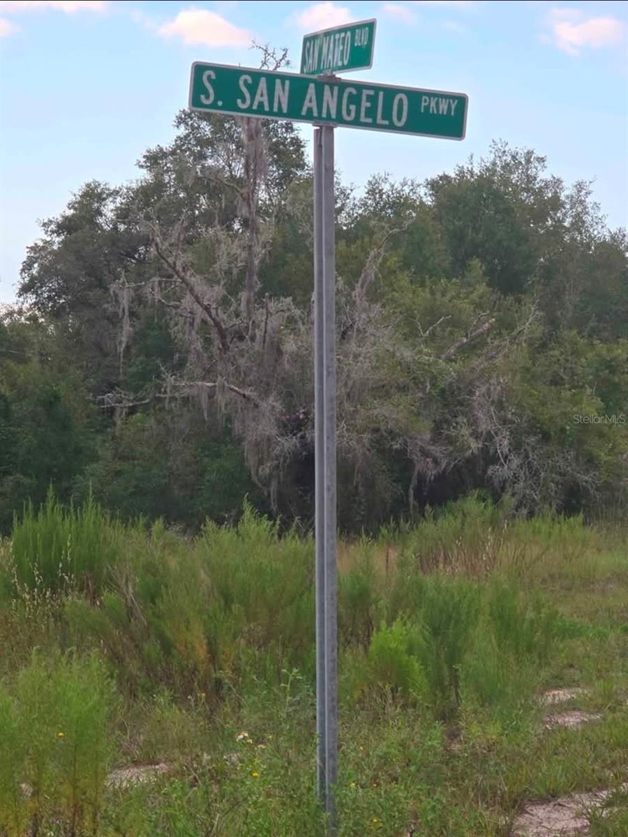 TBD S SAN ANGELO PKWY, DUNNELLON, FL