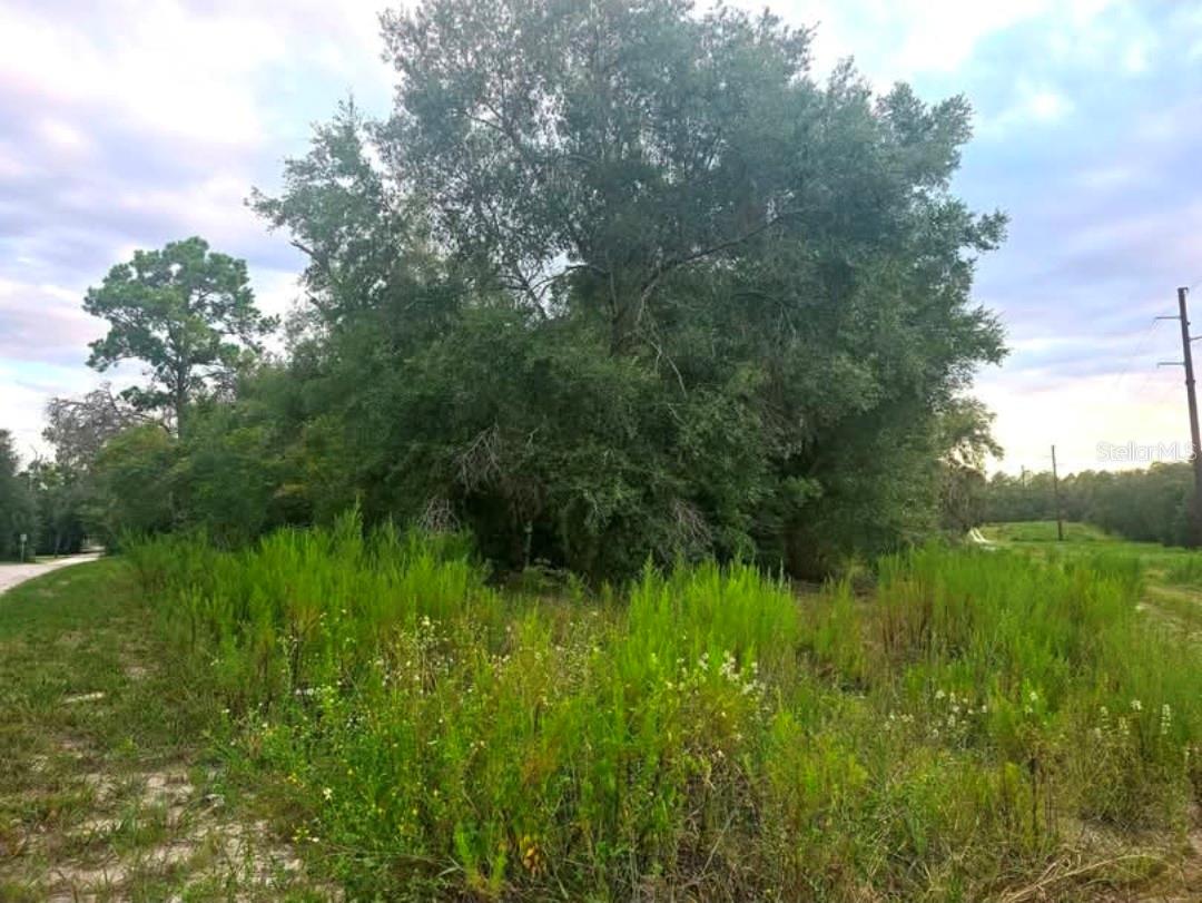 TBD S SAN ANGELO PKWY, DUNNELLON, FL — photo 2