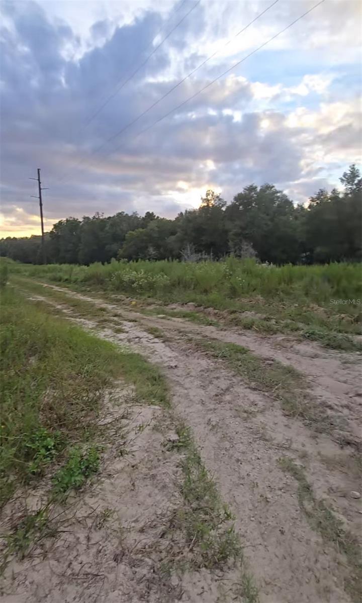 TBD S SAN ANGELO PKWY, DUNNELLON, FL — photo 6