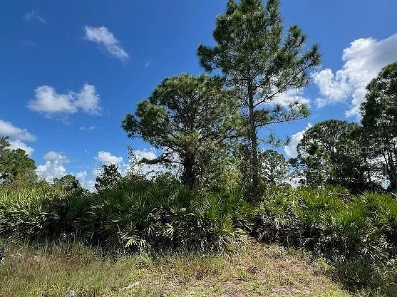 1253 BARNET AVE, FORT MYERS, FL