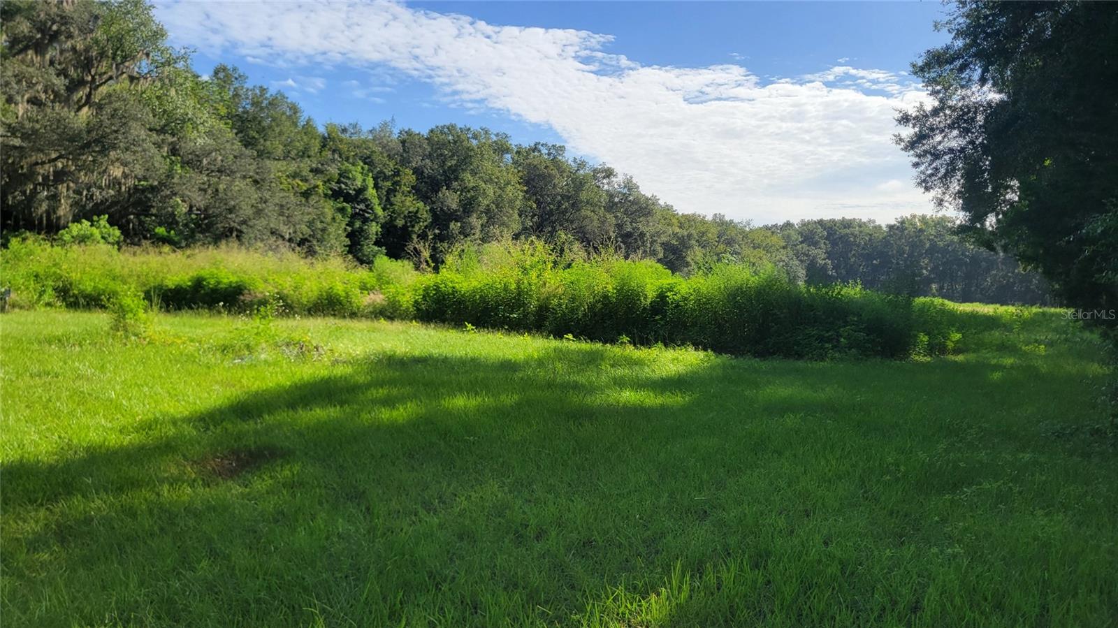1521 NW 27TH AVE, OCALA, FL