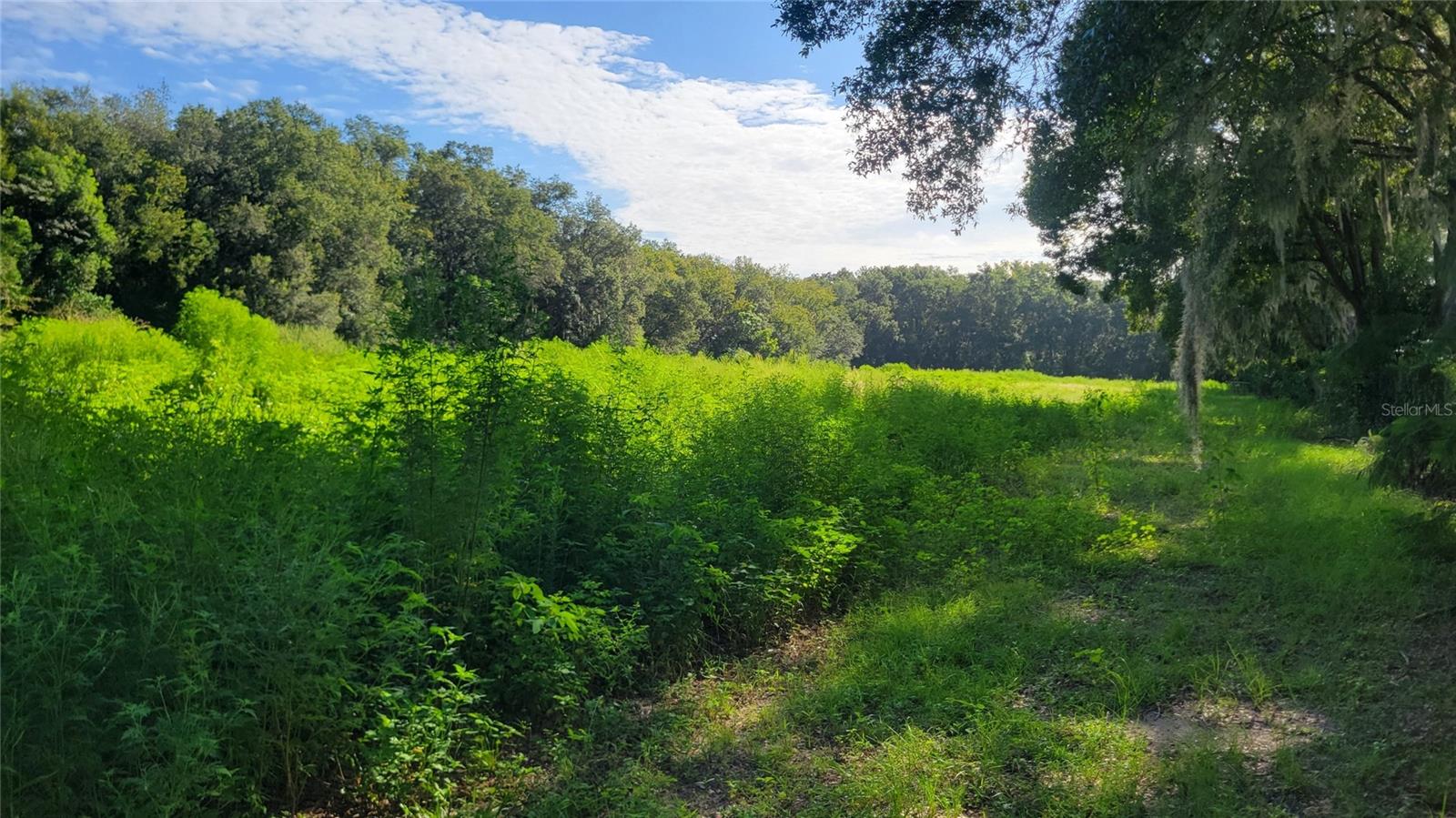 1521 NW 27TH AVE, OCALA, FL — photo 4