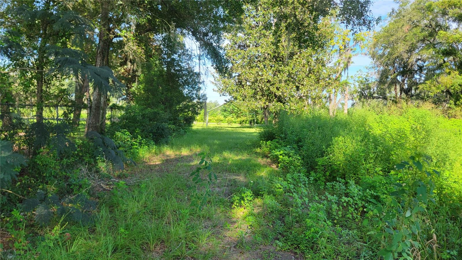 1521 NW 27TH AVE, OCALA, FL — photo 5