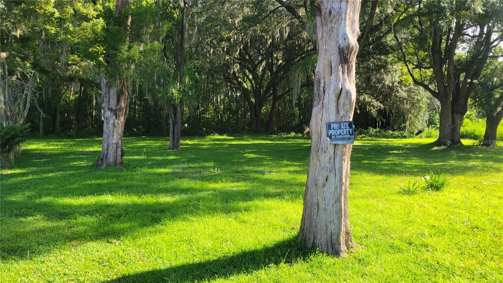 1521 NW 27TH AVE, OCALA, FL — photo 6