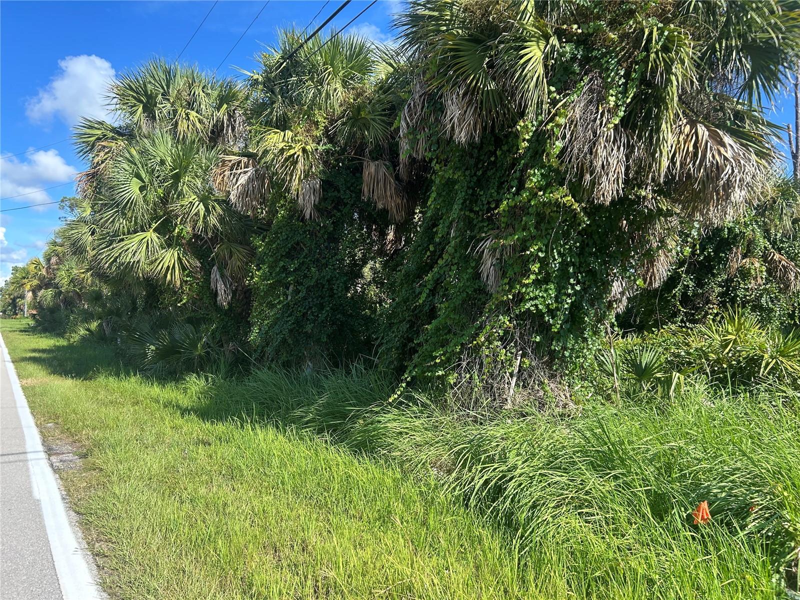 9041 FRUITLAND AVE, ENGLEWOOD, FL — photo 3