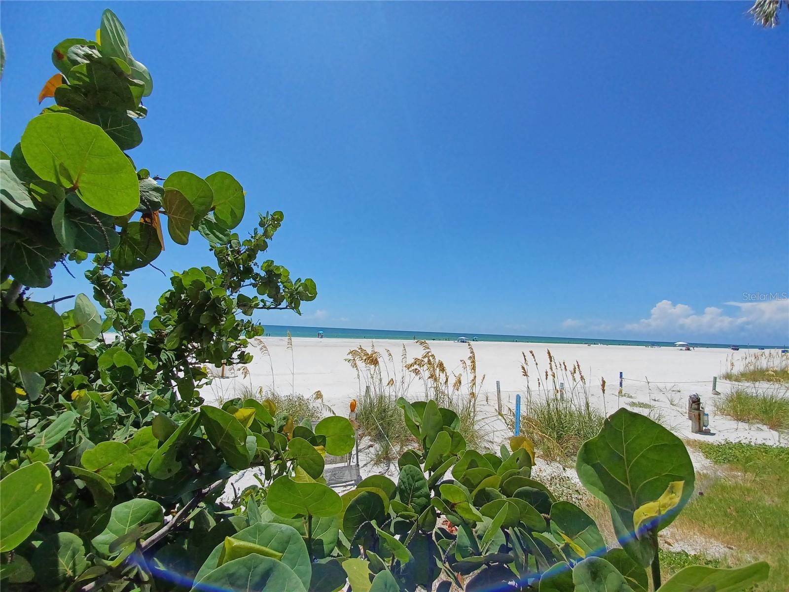 17960 GULF BLVD #118, REDINGTON SHORES, FL — photo 36