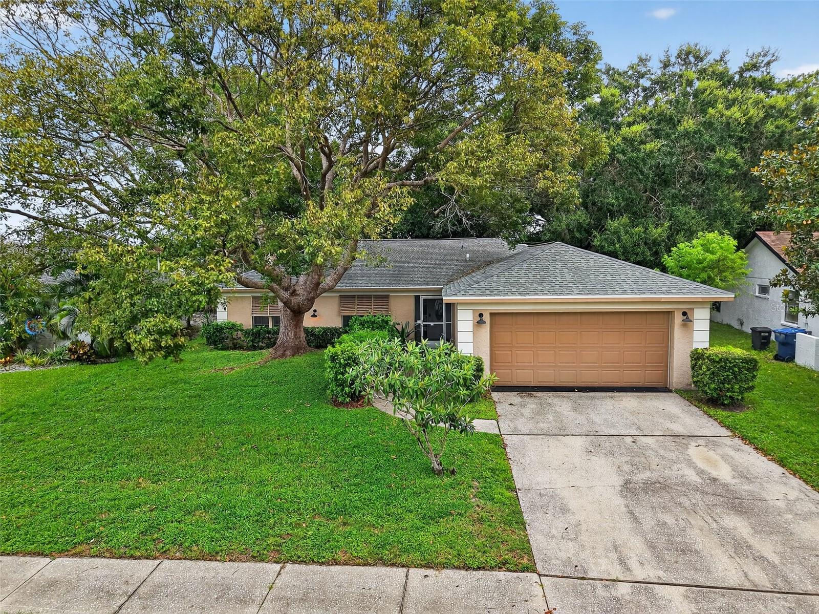 3602 PLAYER DR, NEW PORT RICHEY, FL — photo 2