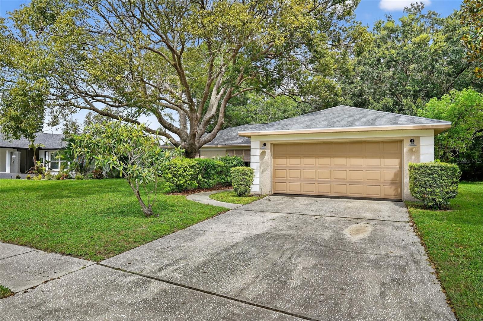 3602 PLAYER DR, NEW PORT RICHEY, FL — photo 4