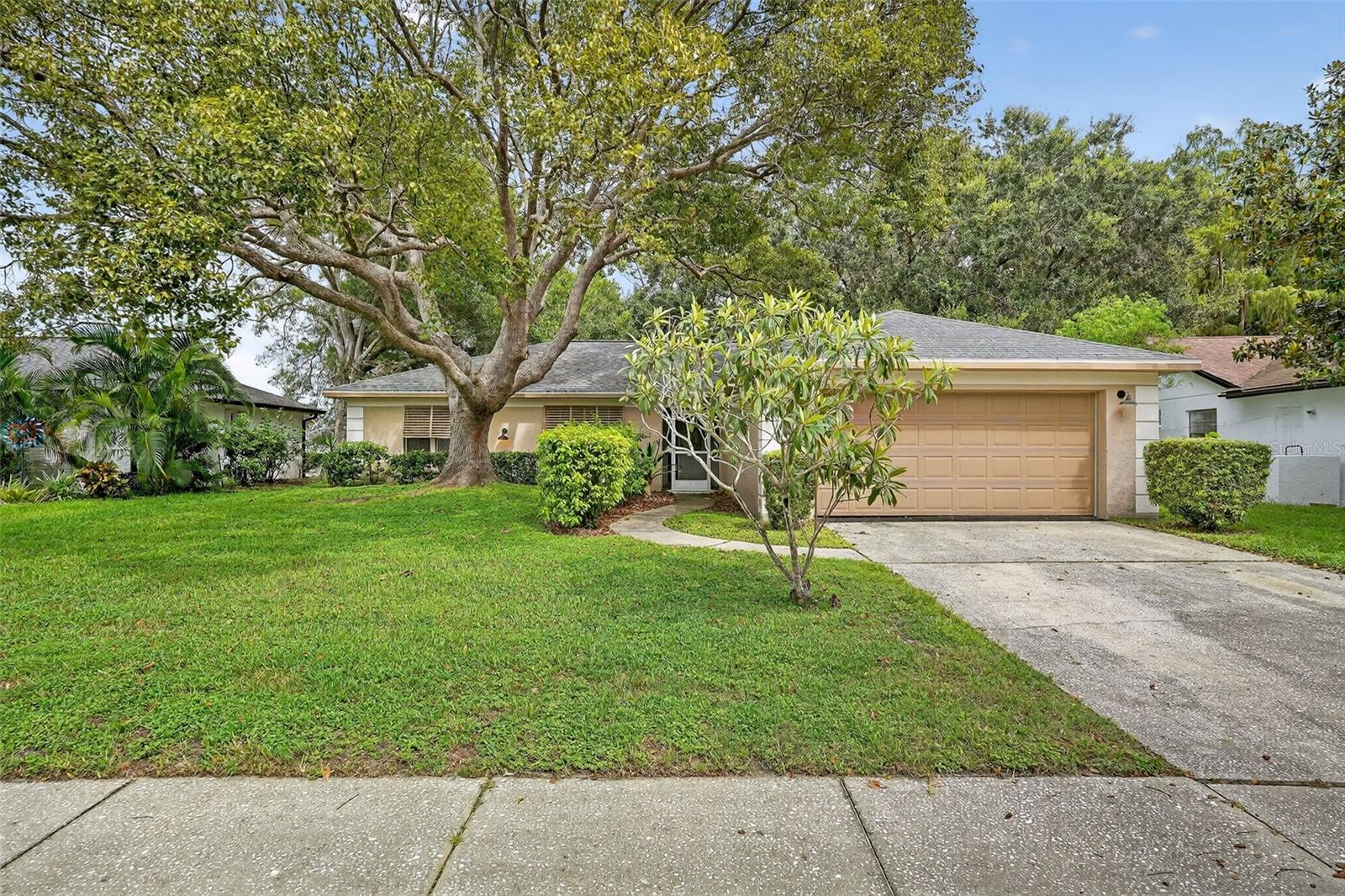 3602 PLAYER DR, NEW PORT RICHEY, FL — photo 5