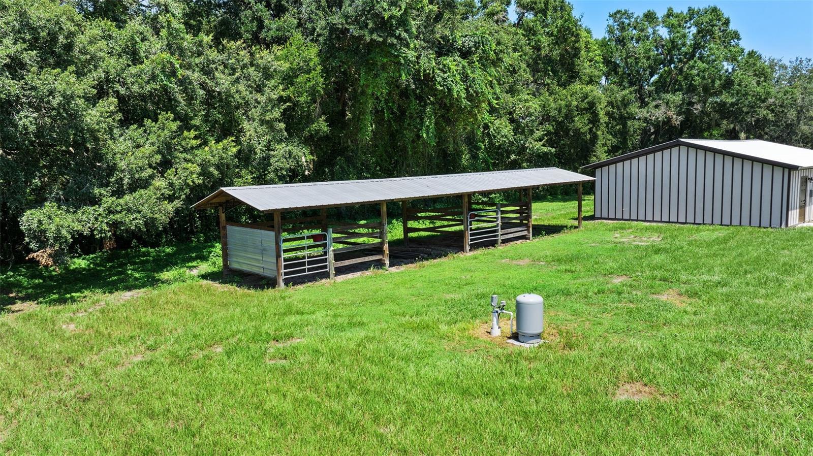 13219 NEWGENT RD, SAN ANTONIO, FL — photo 10