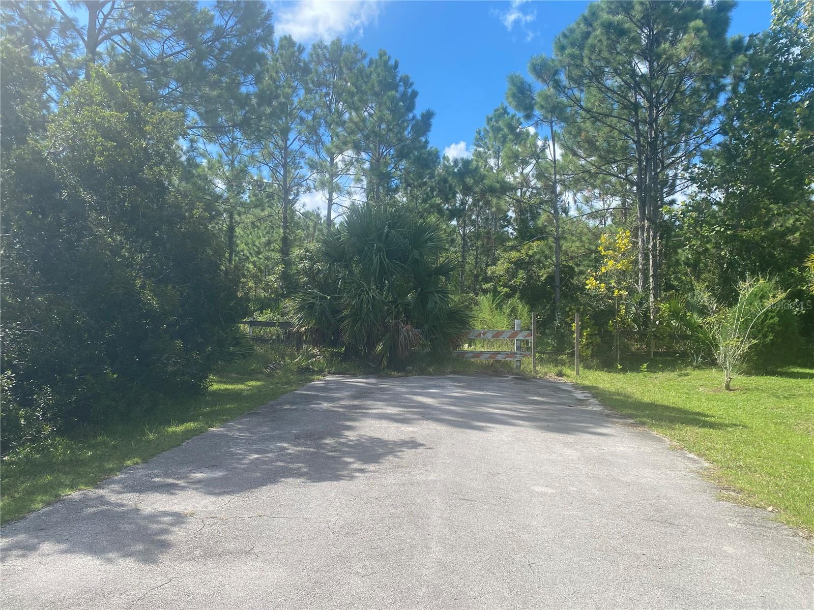 000 SEFERIS PATH PATH, PALM COAST, FL — photo 4