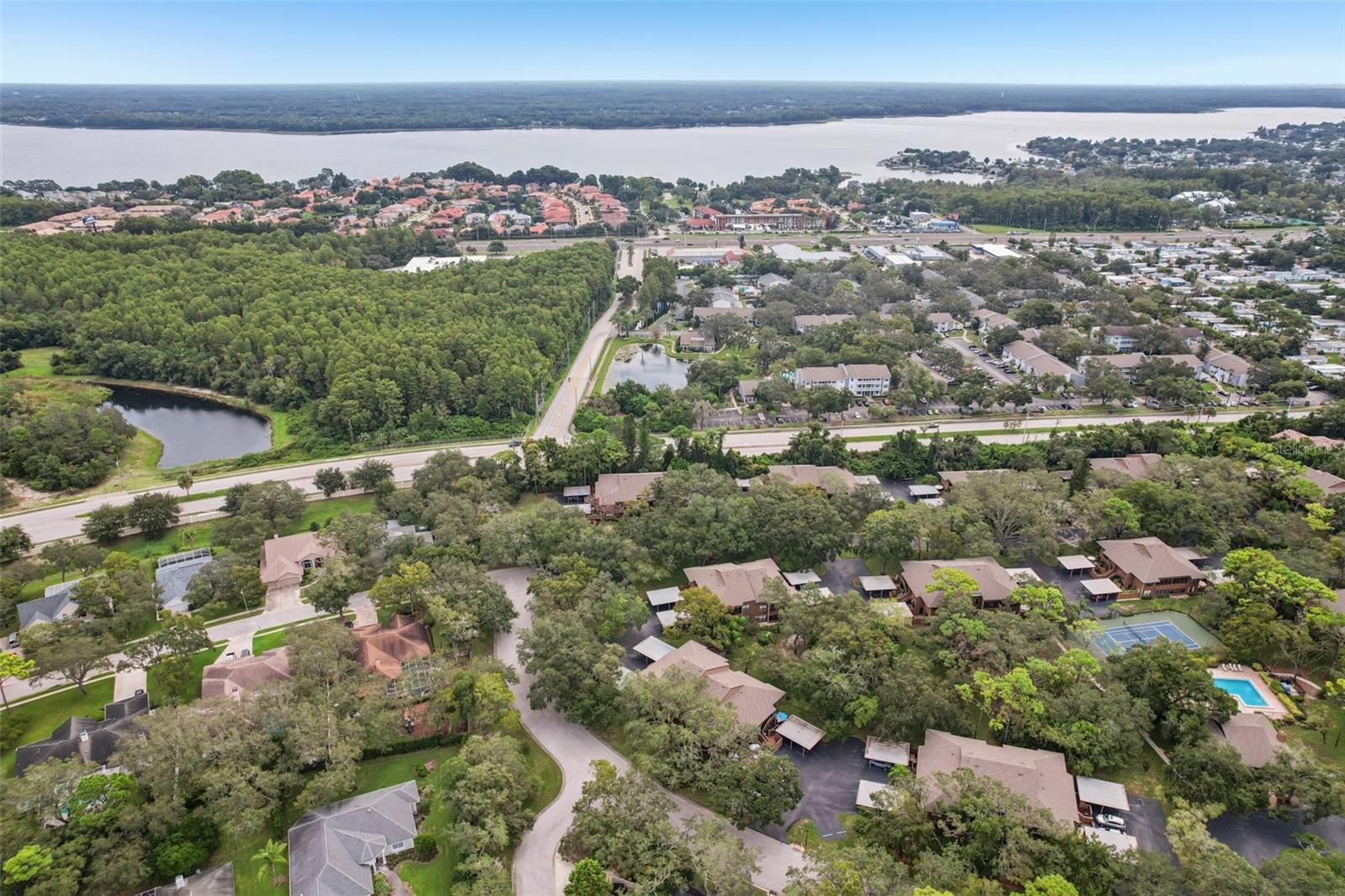 2407 CYPRESS POND RD #2407, PALM HARBOR, FL — photo 24
