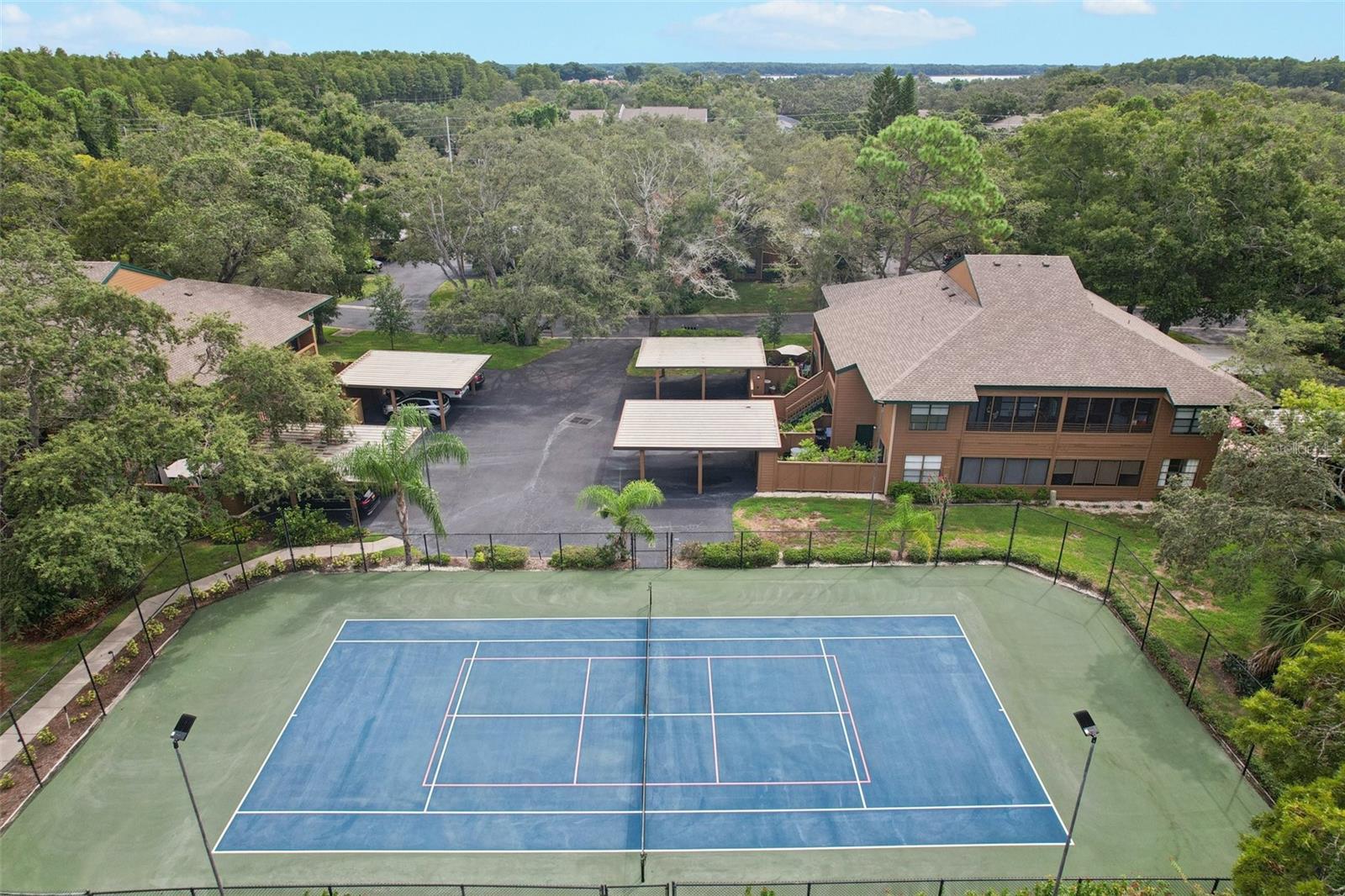 2407 CYPRESS POND RD #2407, PALM HARBOR, FL — photo 27