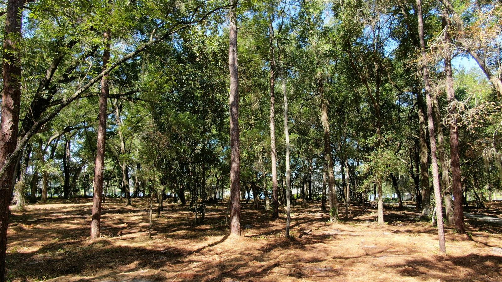 LAKE MARKHAM RD, SANFORD, FL — photo 17