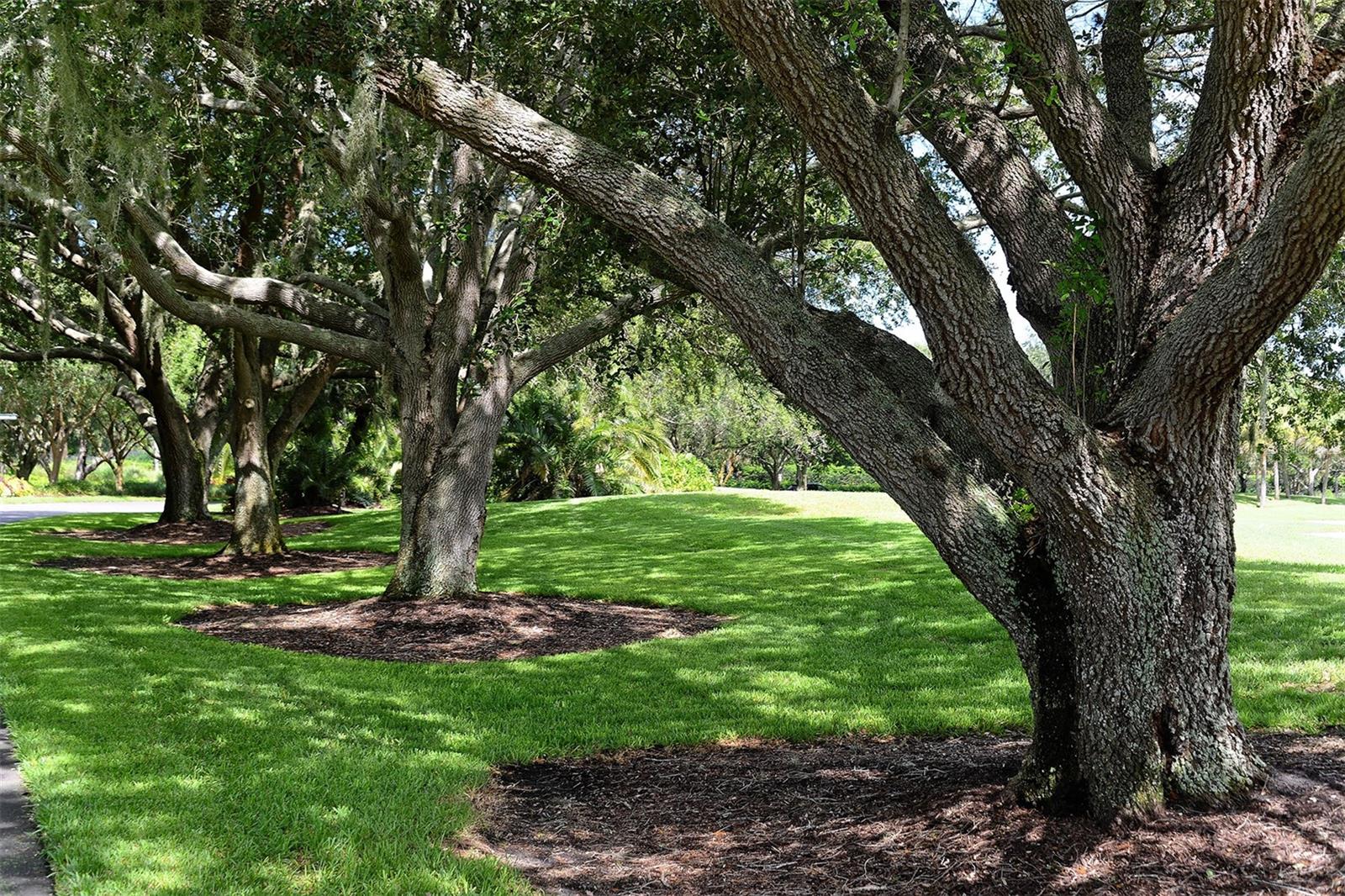 21 BAYHEAD LN, OSPREY, FL — photo 89