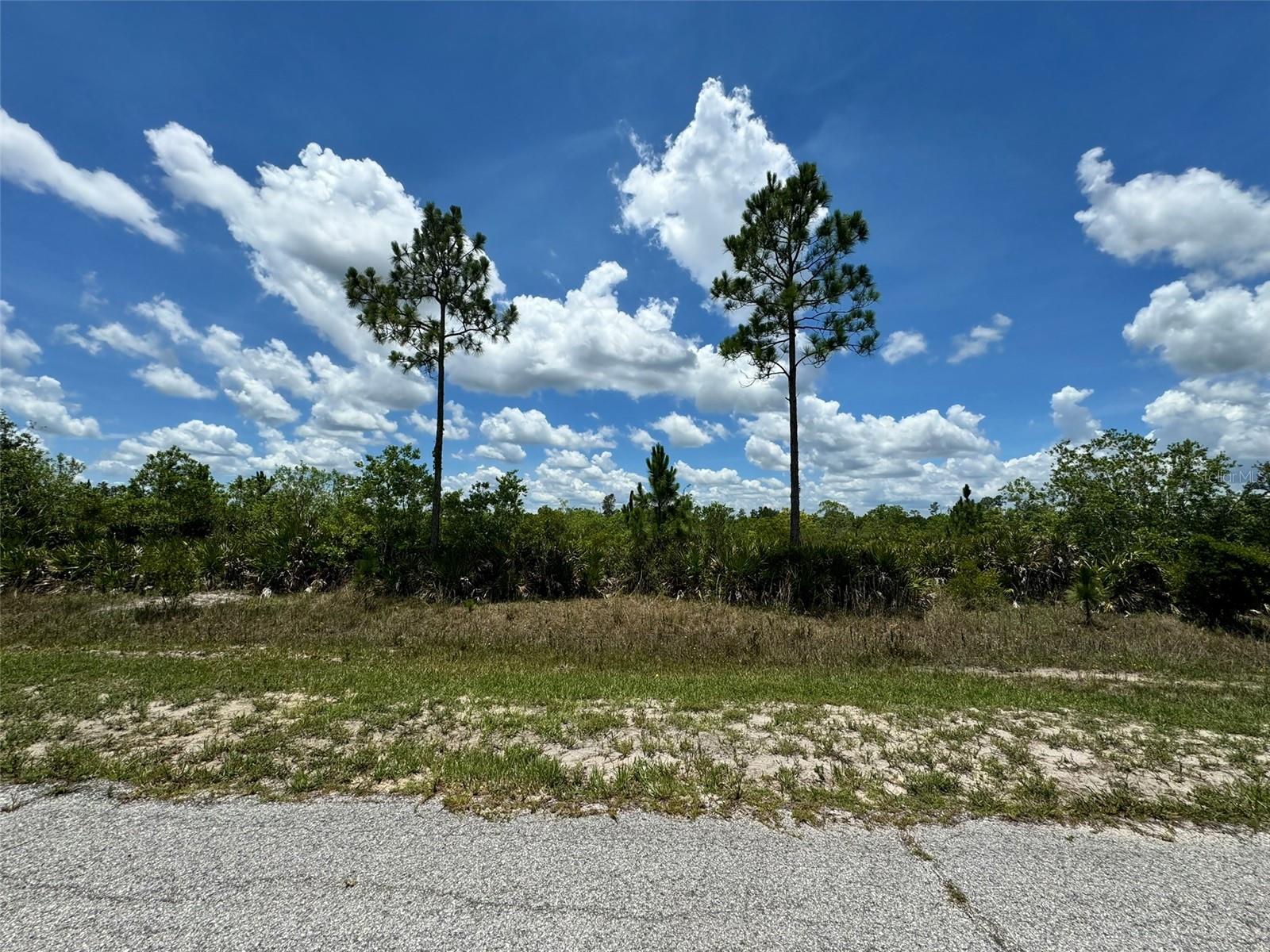 Lot #2 MEADOWLARK BLVD, INDIAN LAKE ESTATES, FL — photo 7