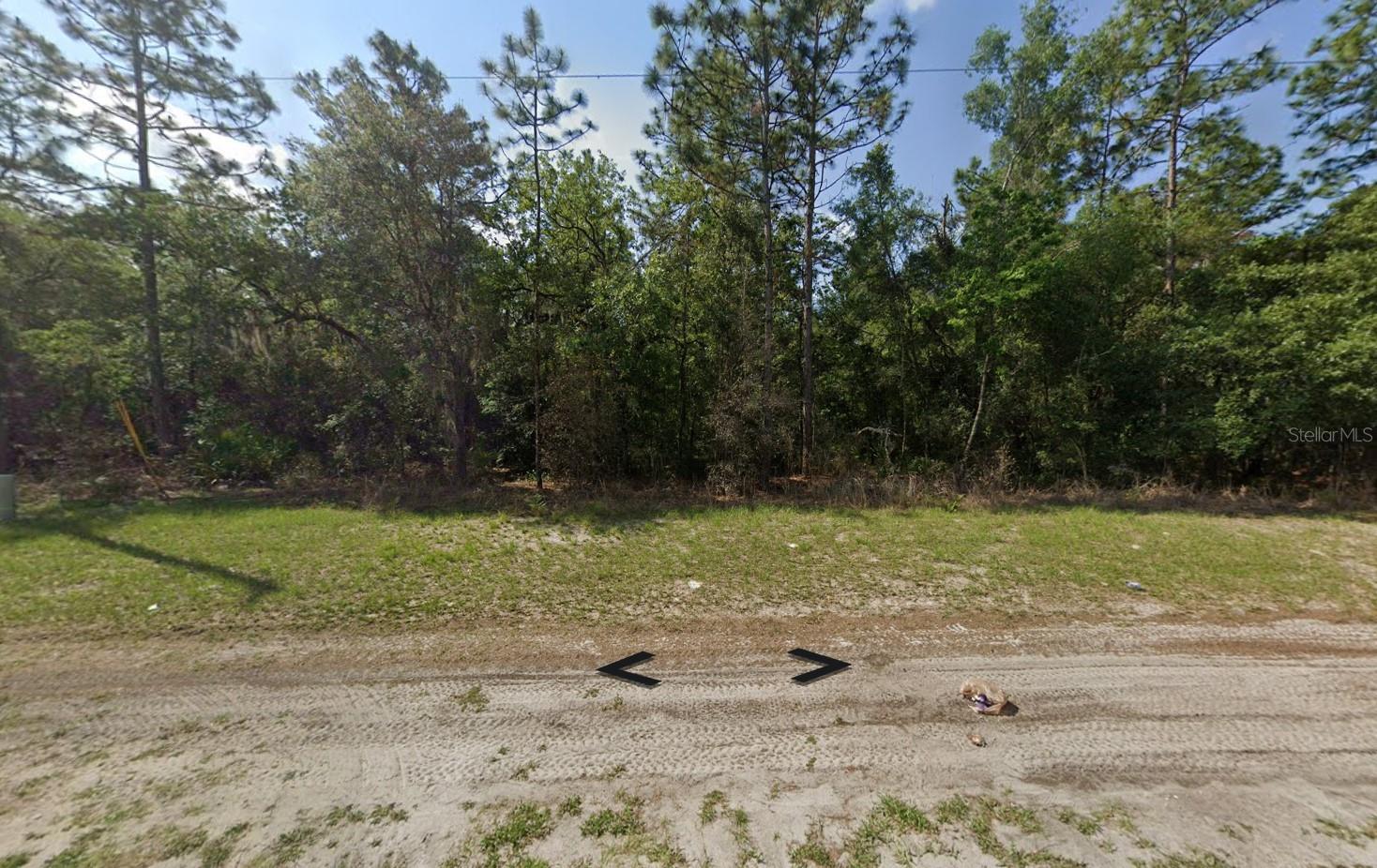 SW 77TH AVE RD, OCALA, FL