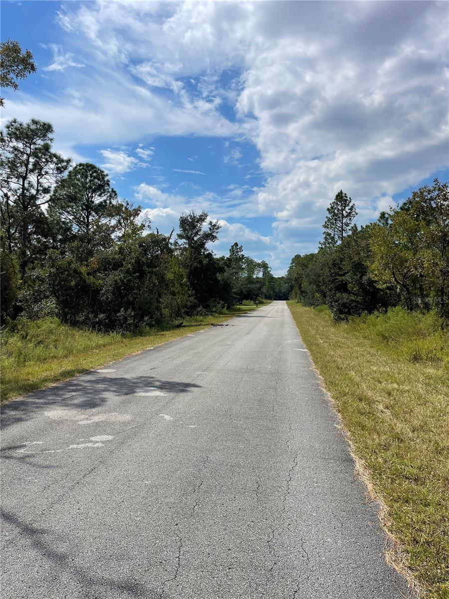 00 SW BLUE BERRY LN #Lot 11, DUNNELLON, FL — photo 2