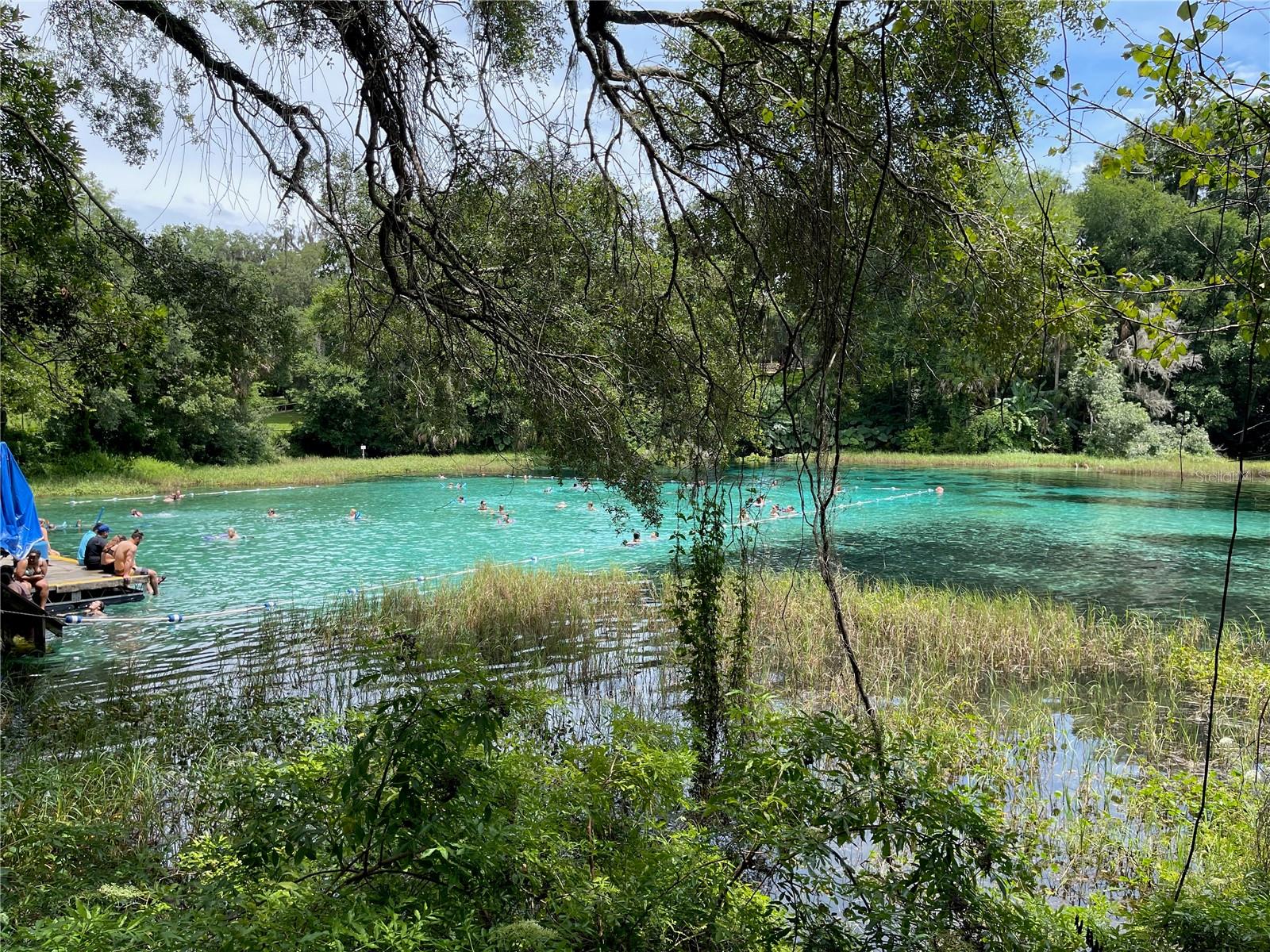 00 SW BLUE BERRY LN #Lot 11, DUNNELLON, FL — photo 3
