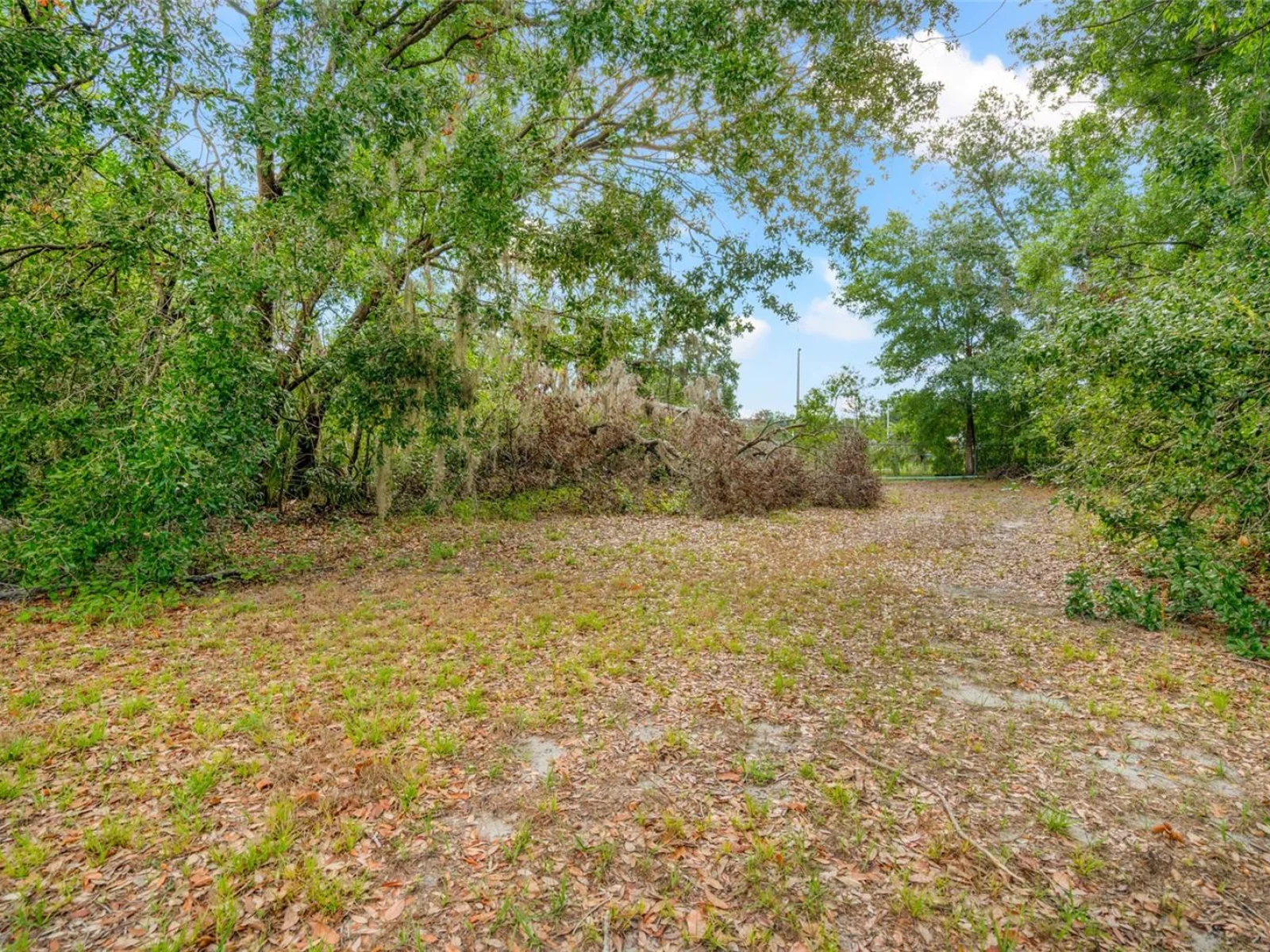 3611 W REYNOLDS ST #1/2, PLANT CITY, FL — photo 5