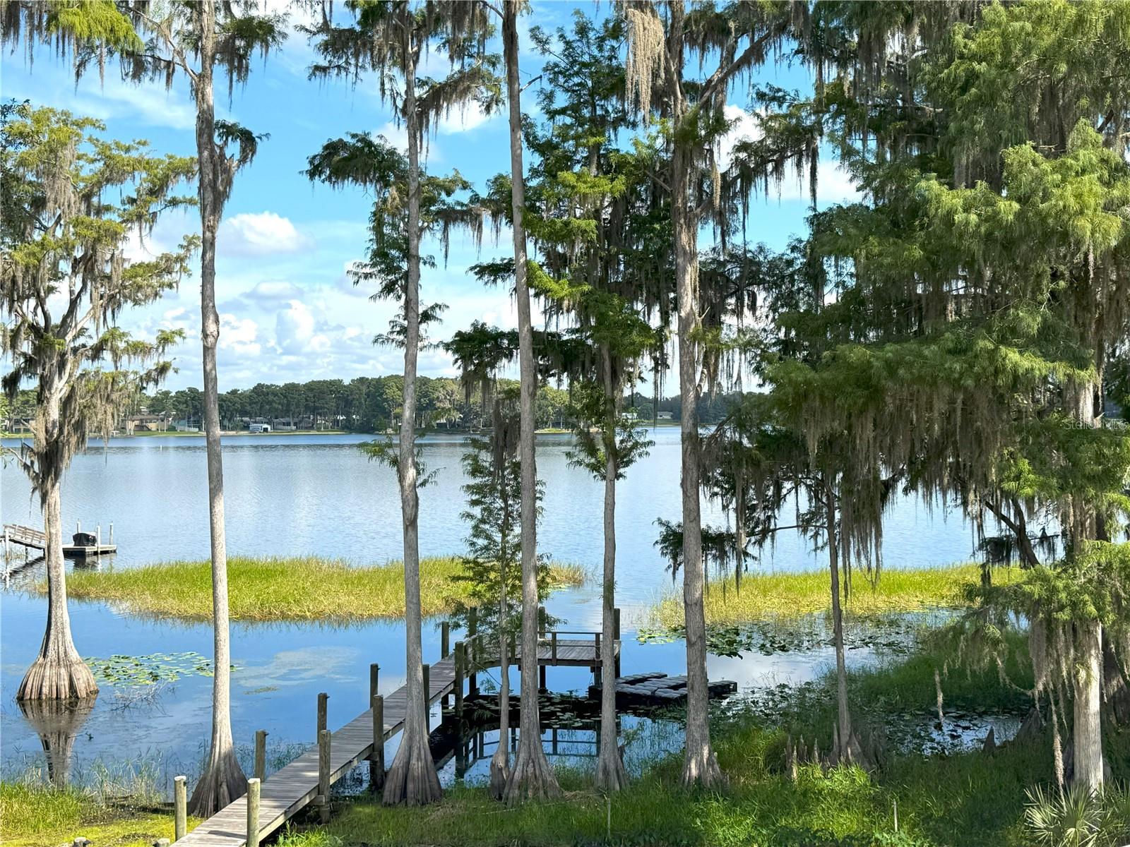 419 N APOPKA AVE, INVERNESS, FL — photo 64