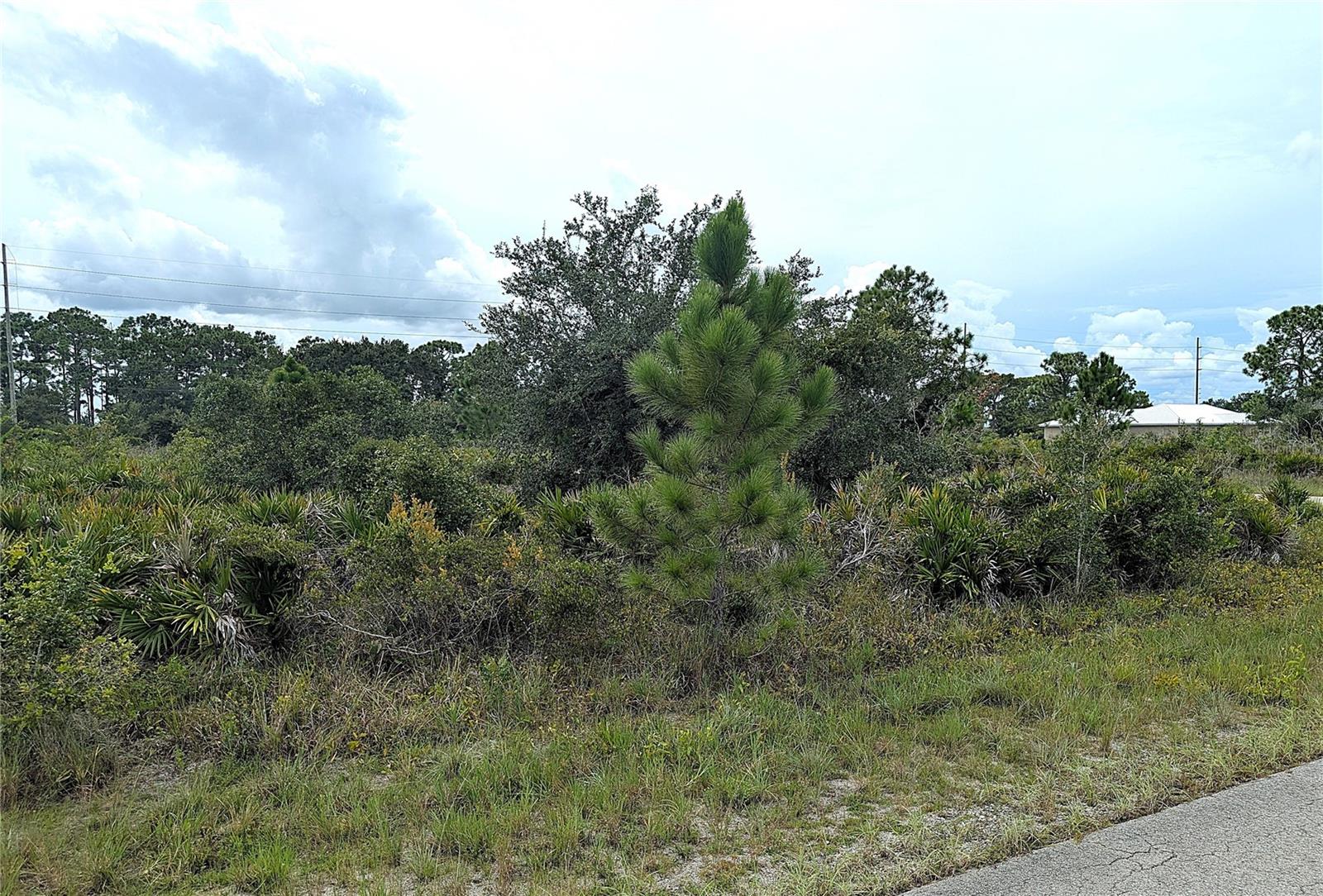 3430 GERBER AVE, LAKE PLACID, FL — photo 3