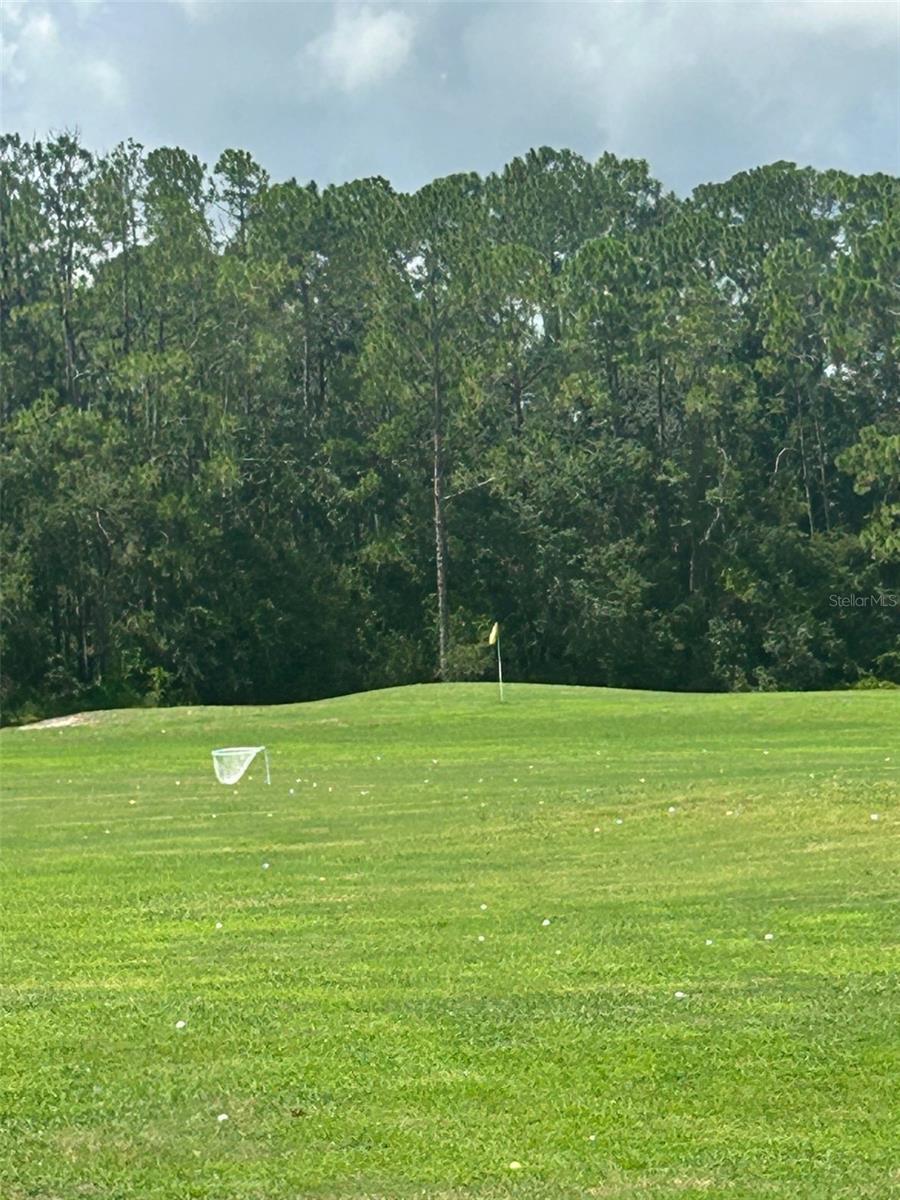 25119 CRANES ROOST CIR, LEESBURG, FL — photo 42