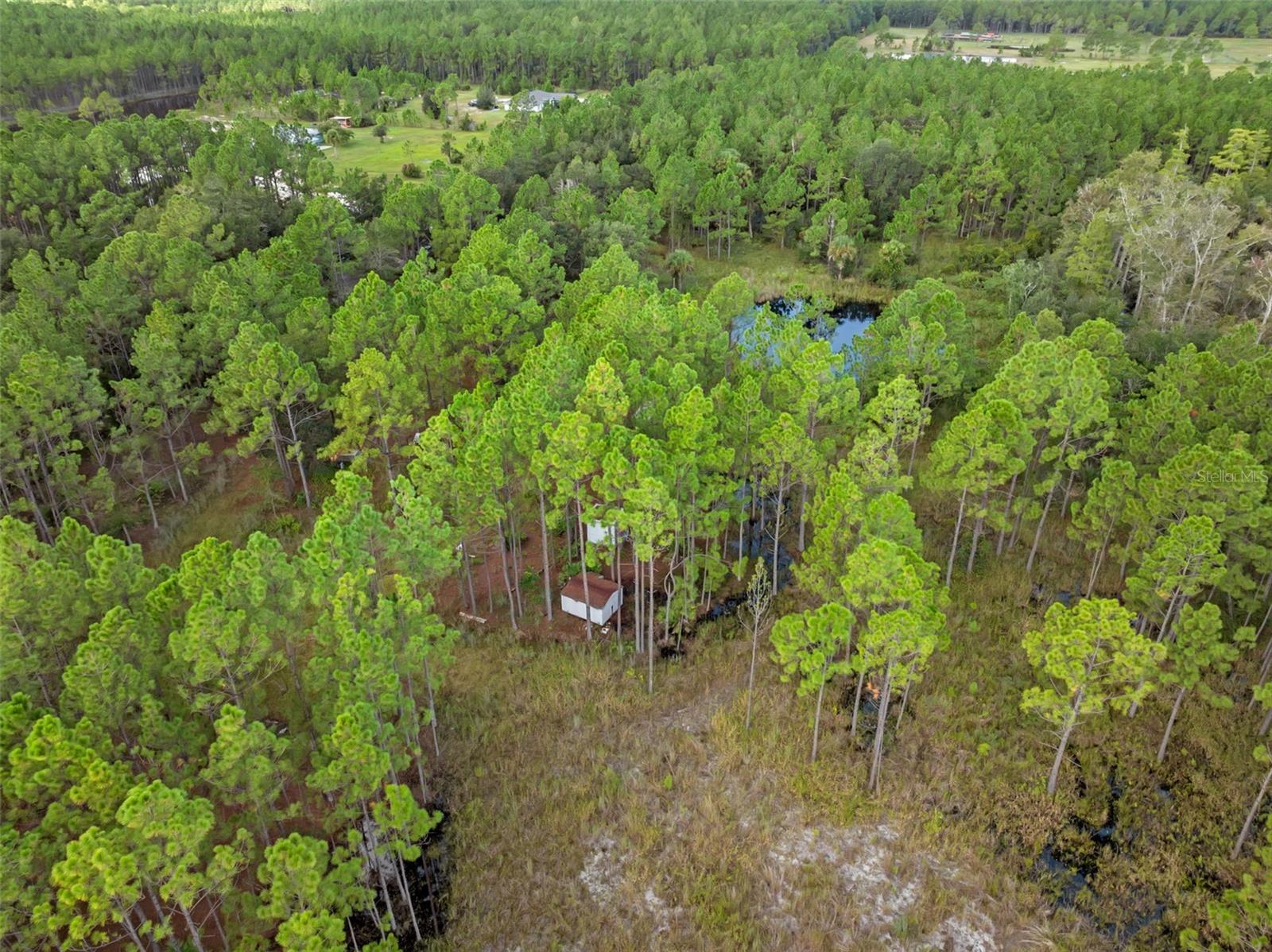 60 NATALIES LN, ORMOND BEACH, FL — photo 16