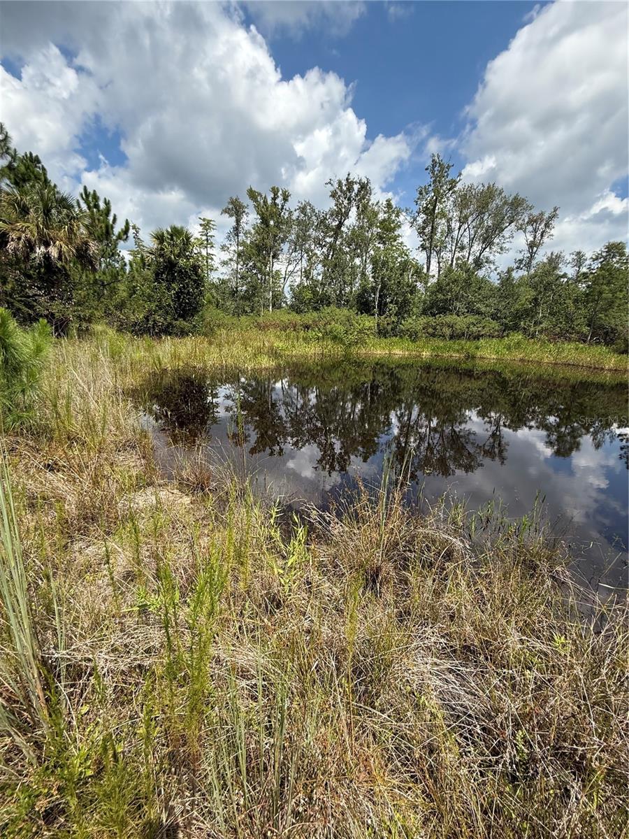 60 NATALIES LN, ORMOND BEACH, FL — photo 26