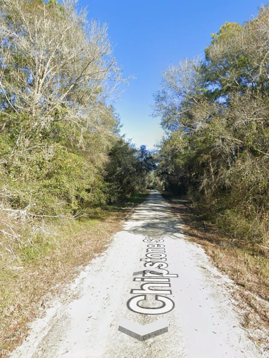 CHIPSTONE ST, WEBSTER, FL