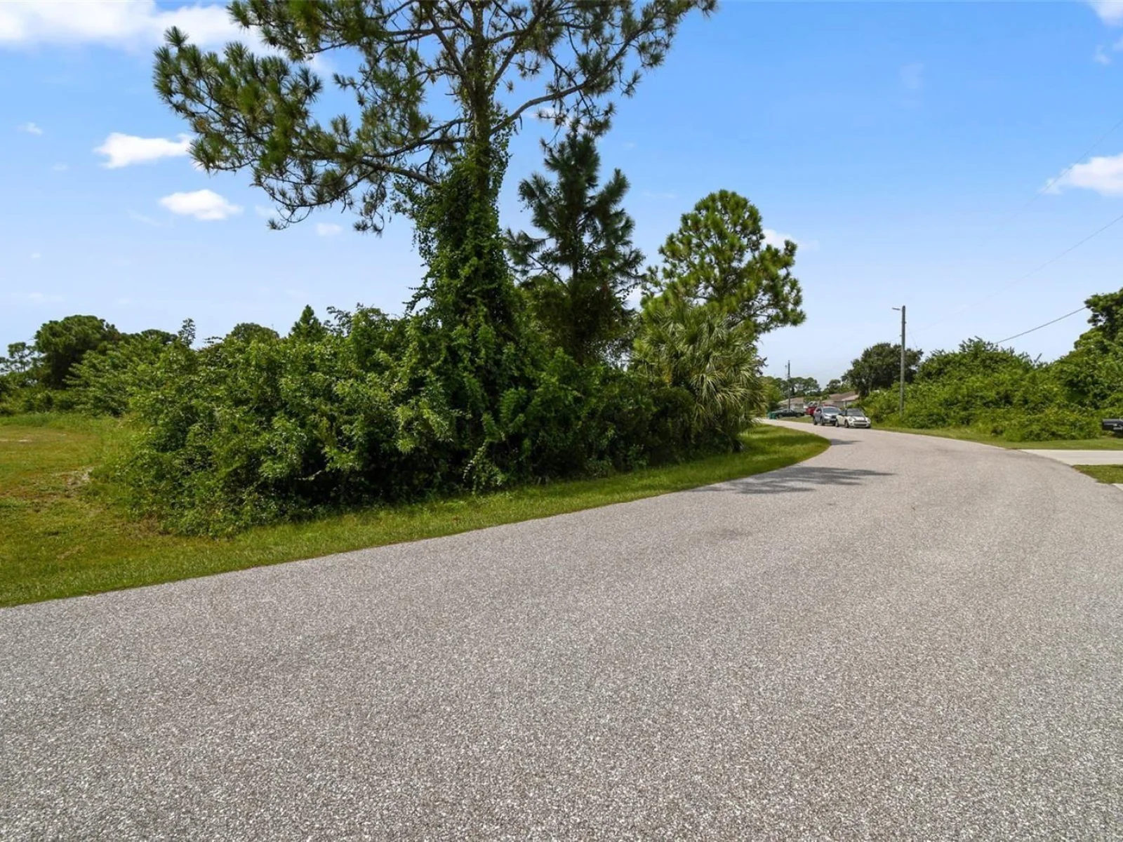 12447 BIRTLE AVE, PORT CHARLOTTE, FL — photo 9