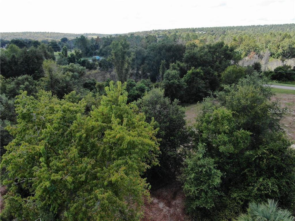 SUGARLOAF MOUNTAIN RD, CLERMONT, FL — photo 33