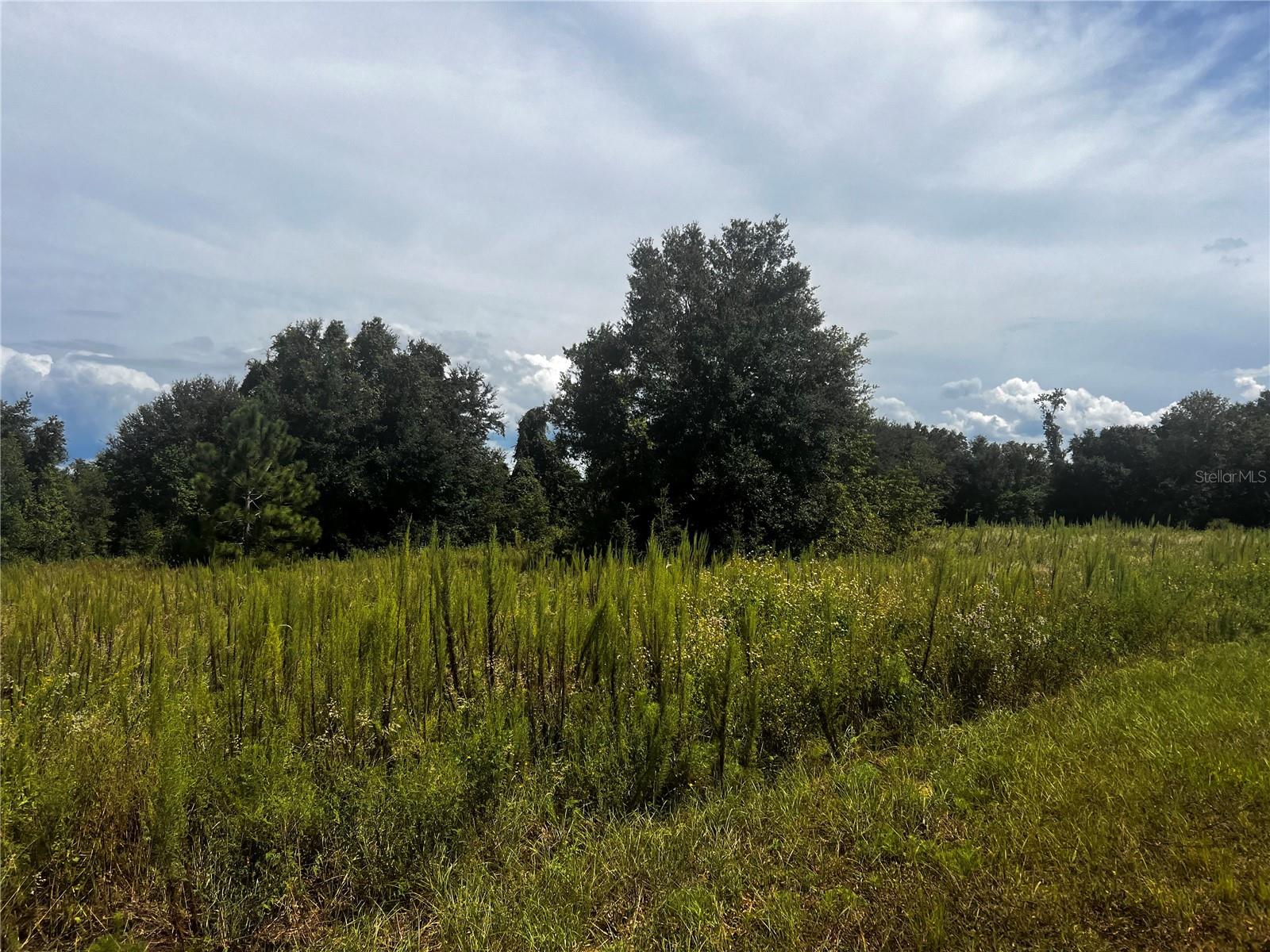 SUGARLOAF MOUNTAIN RD, CLERMONT, FL