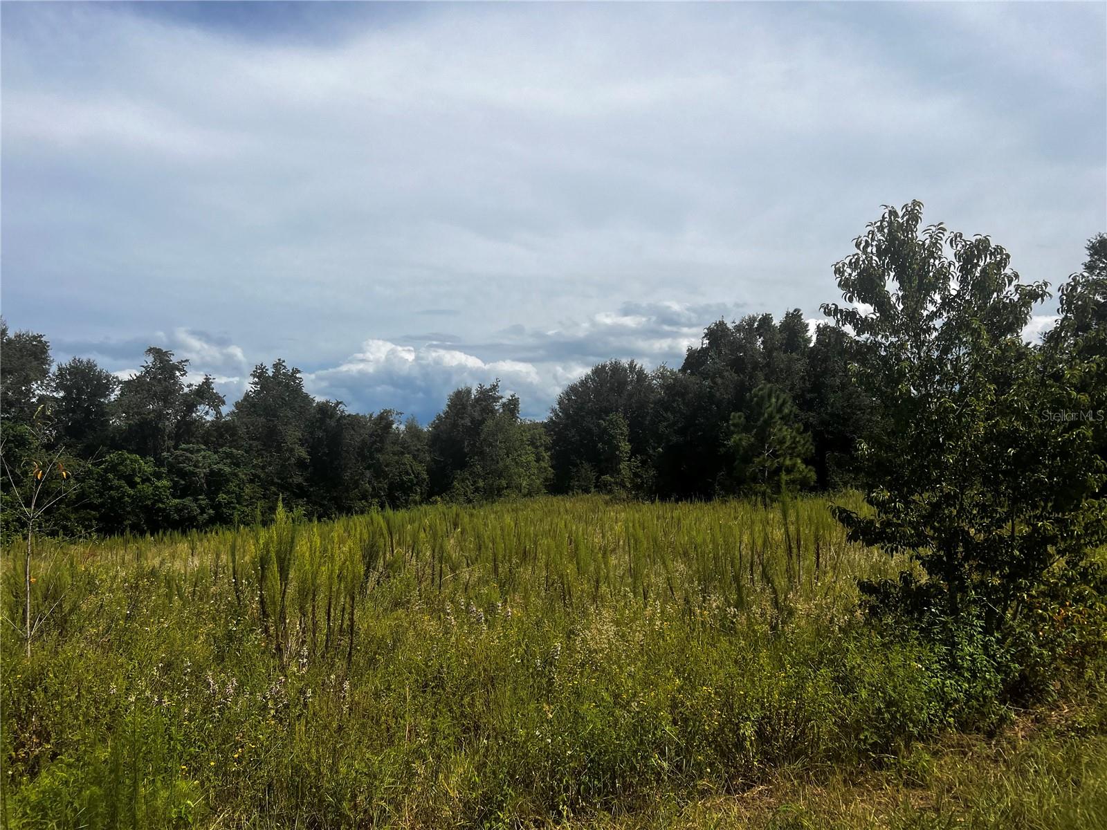 SUGARLOAF MOUNTAIN RD, CLERMONT, FL — photo 4