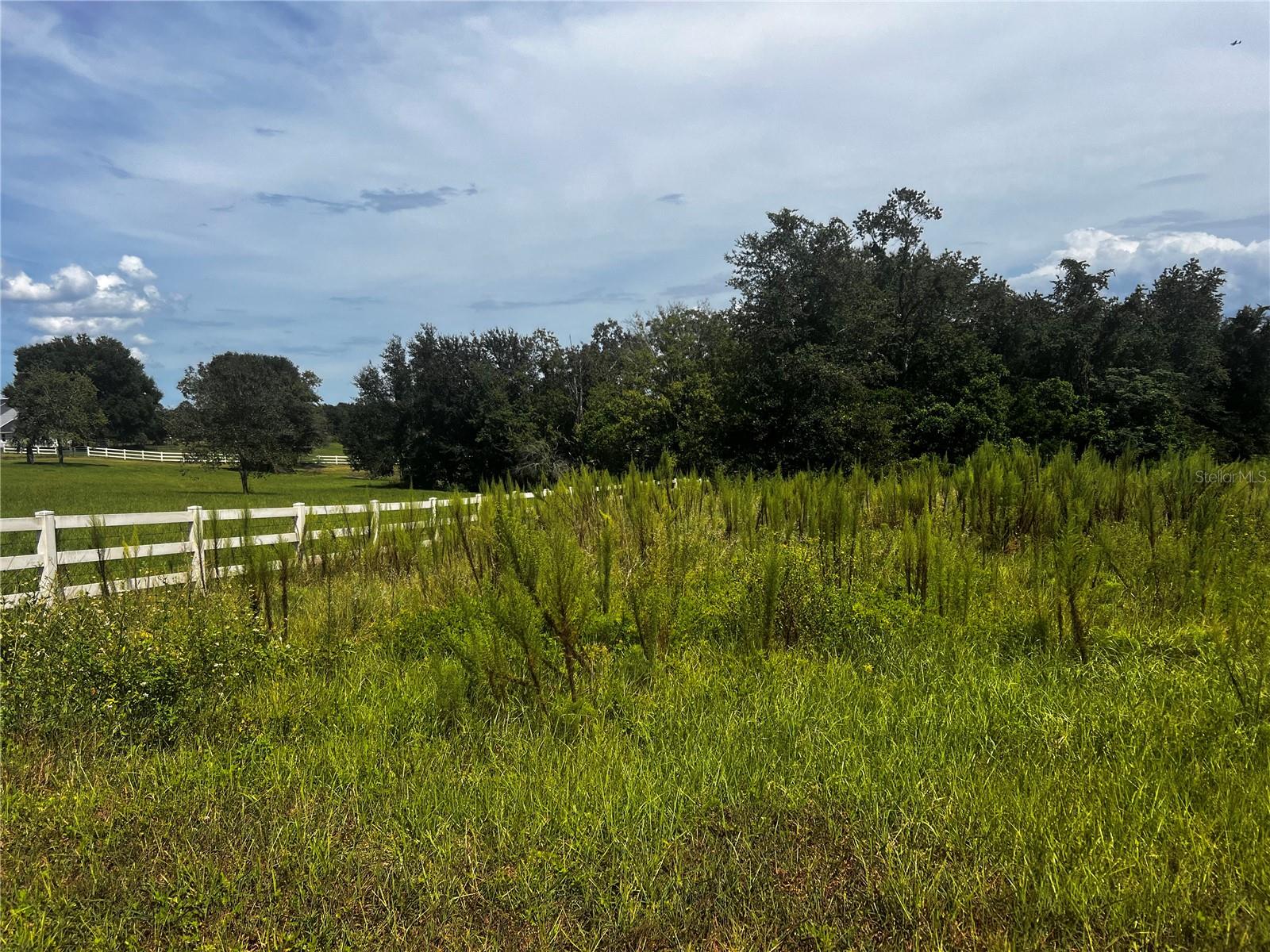 SUGARLOAF MOUNTAIN RD, CLERMONT, FL — photo 5