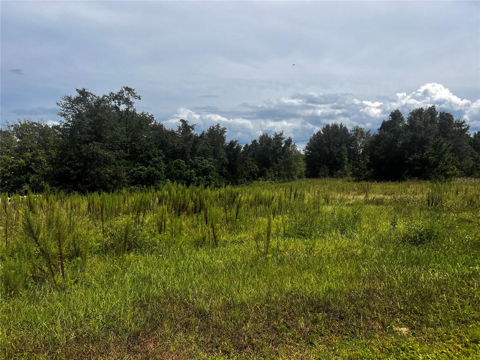 SUGARLOAF MOUNTAIN RD, CLERMONT, FL — photo 11