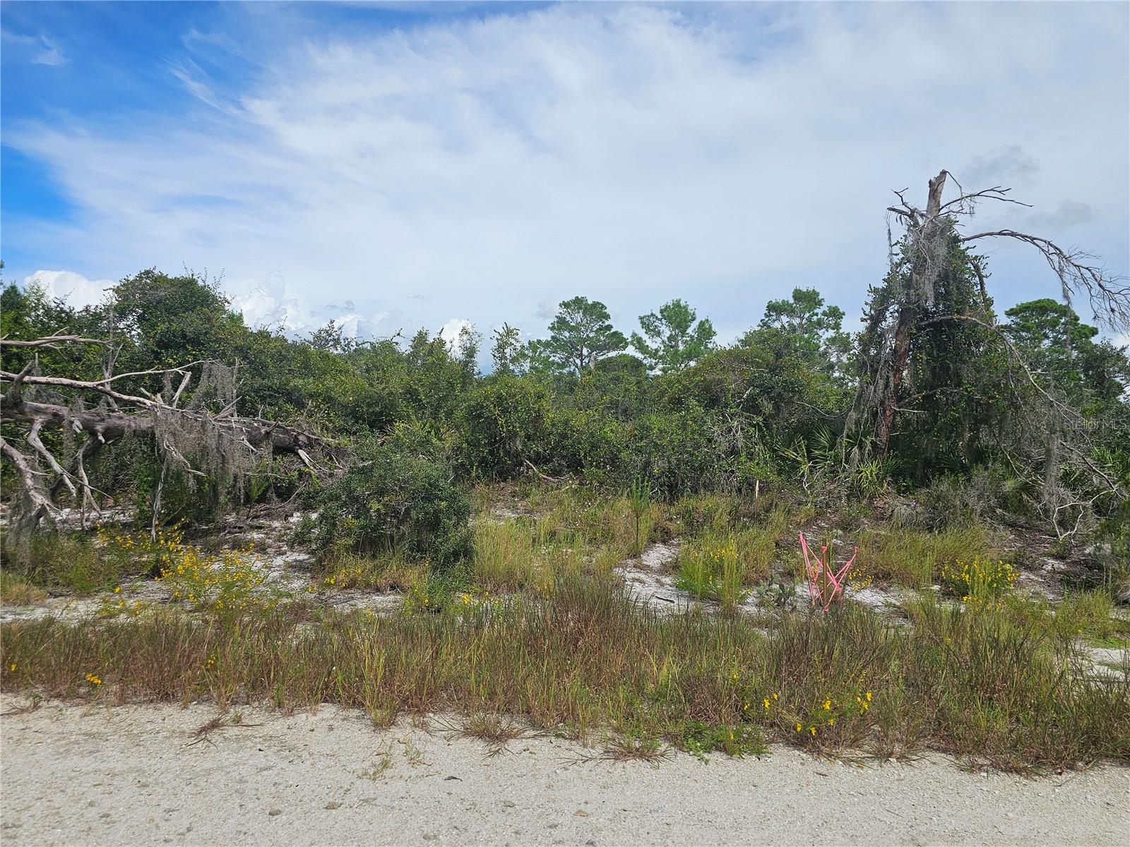123 PATTON AVE, LAKE PLACID, FL — photo 2