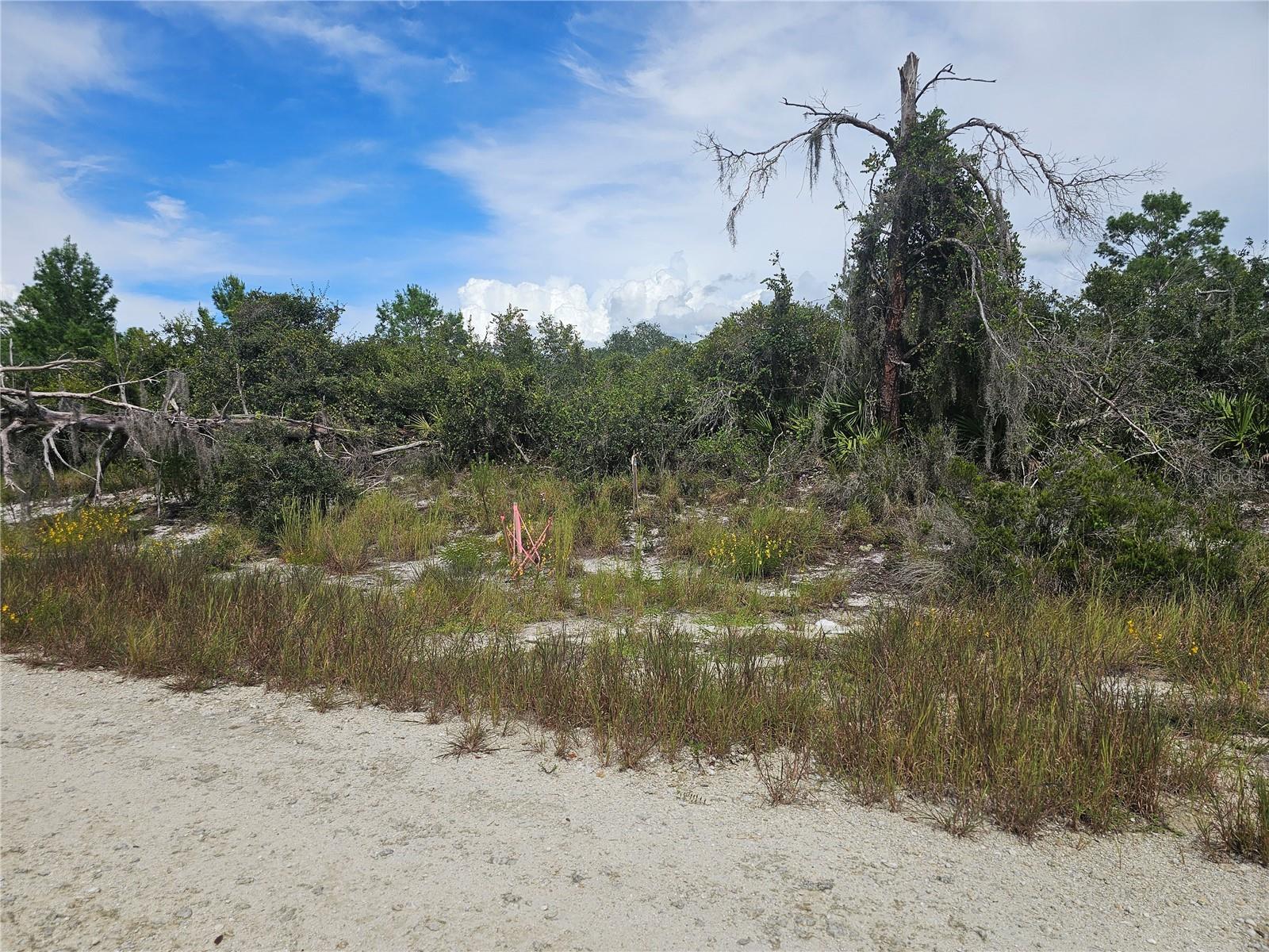 123 PATTON AVE, LAKE PLACID, FL — photo 4