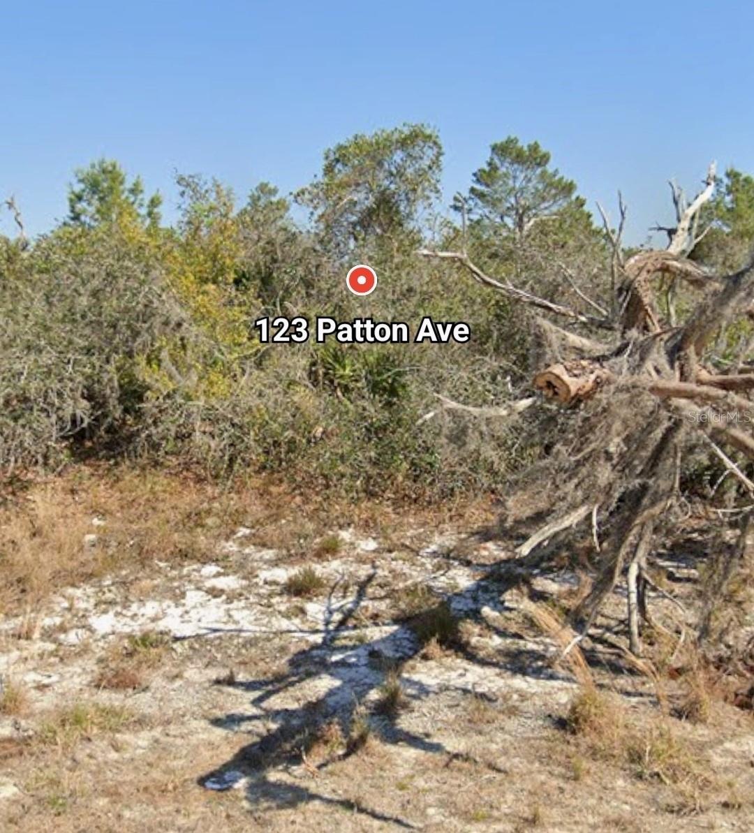123 PATTON AVE, LAKE PLACID, FL — photo 6