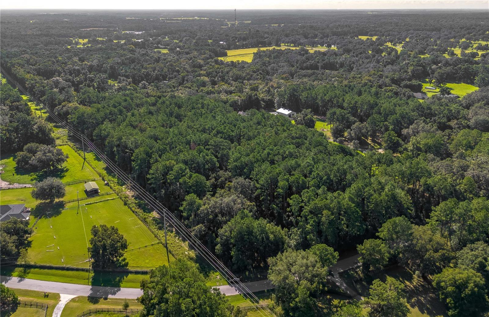 TBD NW 88TH AVENUE RD, REDDICK, FL — photo 3