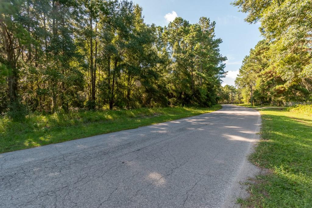 TBD NW 88TH AVENUE RD, REDDICK, FL — photo 6