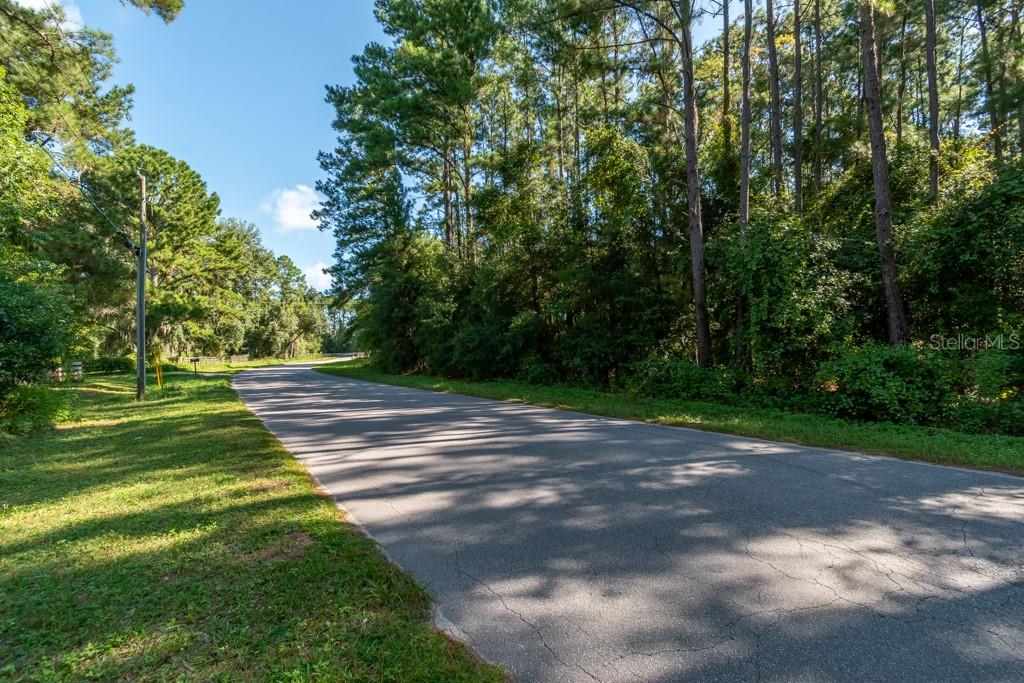 TBD NW 88TH AVENUE RD, REDDICK, FL — photo 7