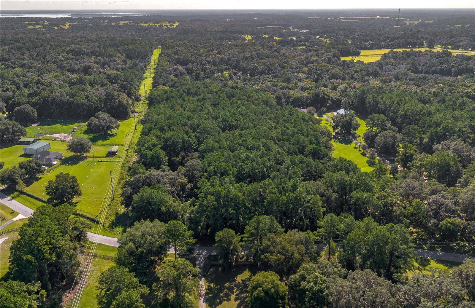 TBD NW 88TH AVENUE RD, REDDICK, FL — photo 8