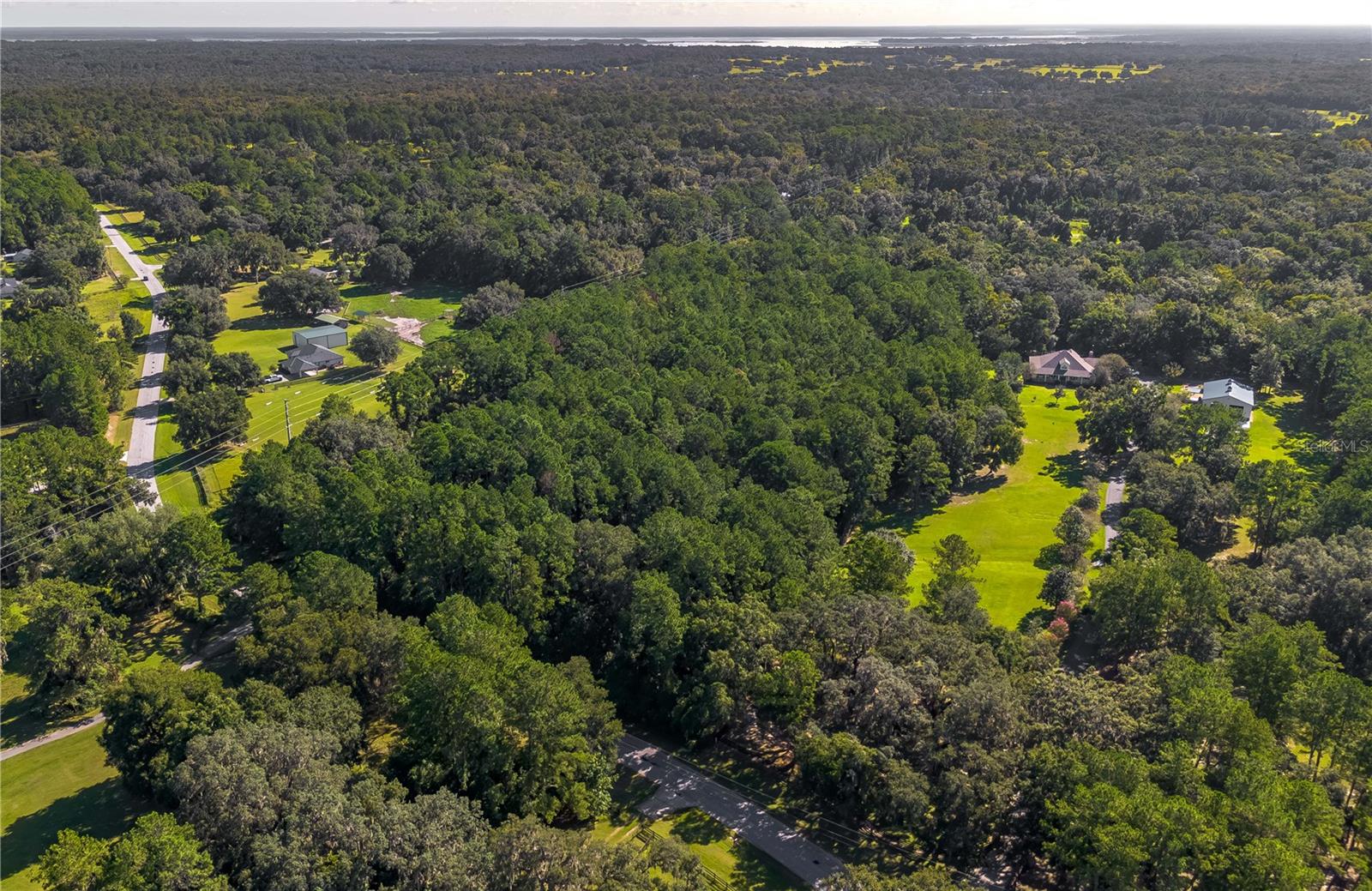 TBD NW 88TH AVENUE RD, REDDICK, FL — photo 9