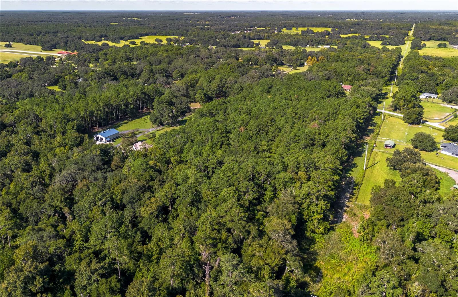 TBD NW 88TH AVENUE RD, REDDICK, FL — photo 10