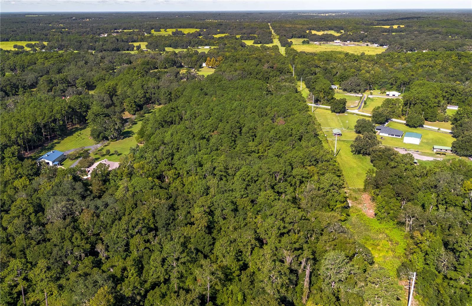 TBD NW 88TH AVENUE RD, REDDICK, FL — photo 11