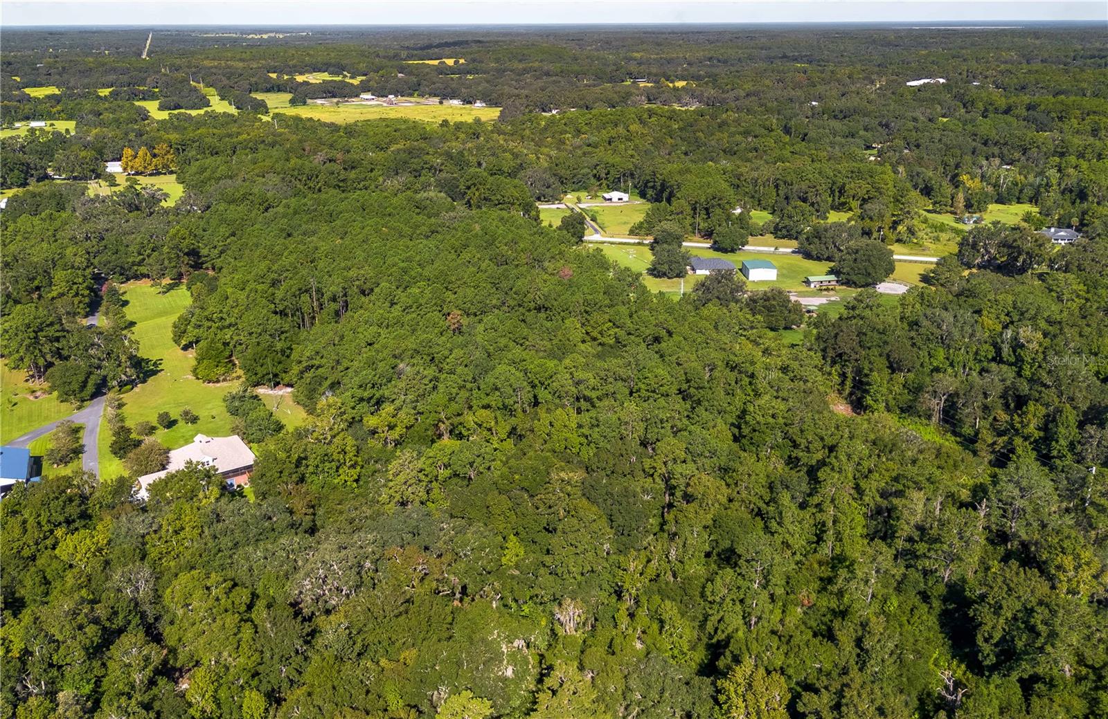 TBD NW 88TH AVENUE RD, REDDICK, FL — photo 12