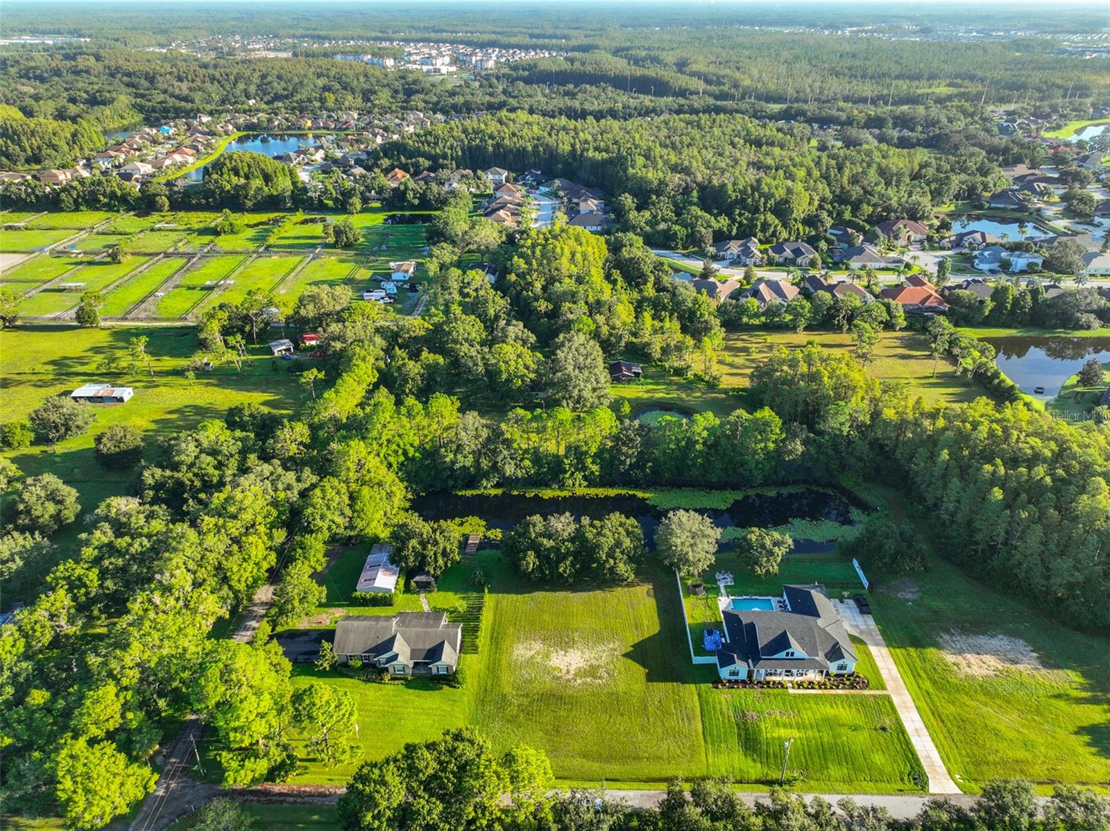 0 PHILLIPS RD #2, ODESSA, FL — photo 12