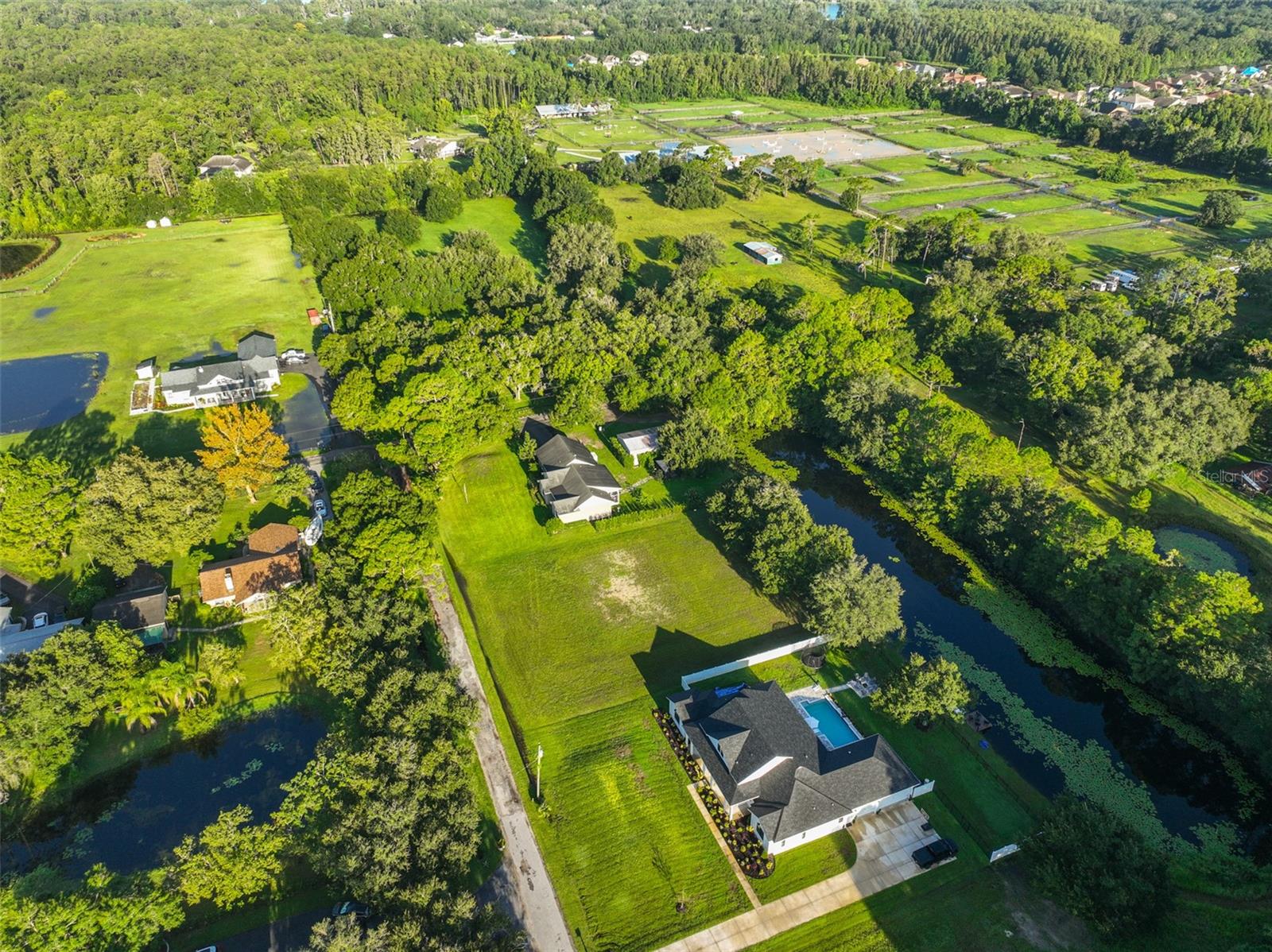 0 PHILLIPS RD #2, ODESSA, FL — photo 22